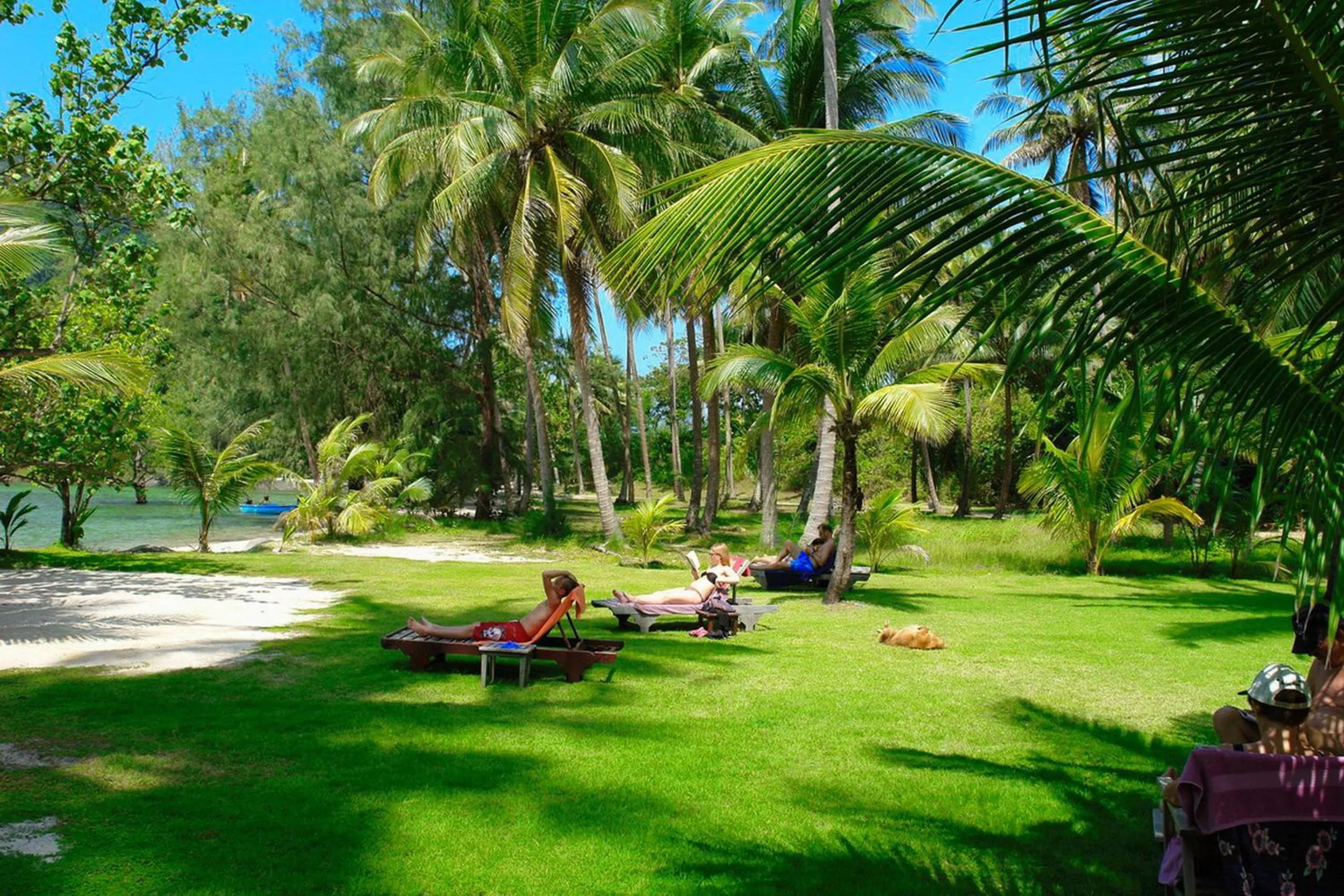 Natural landscape in Siam Royal View Resort Apartments