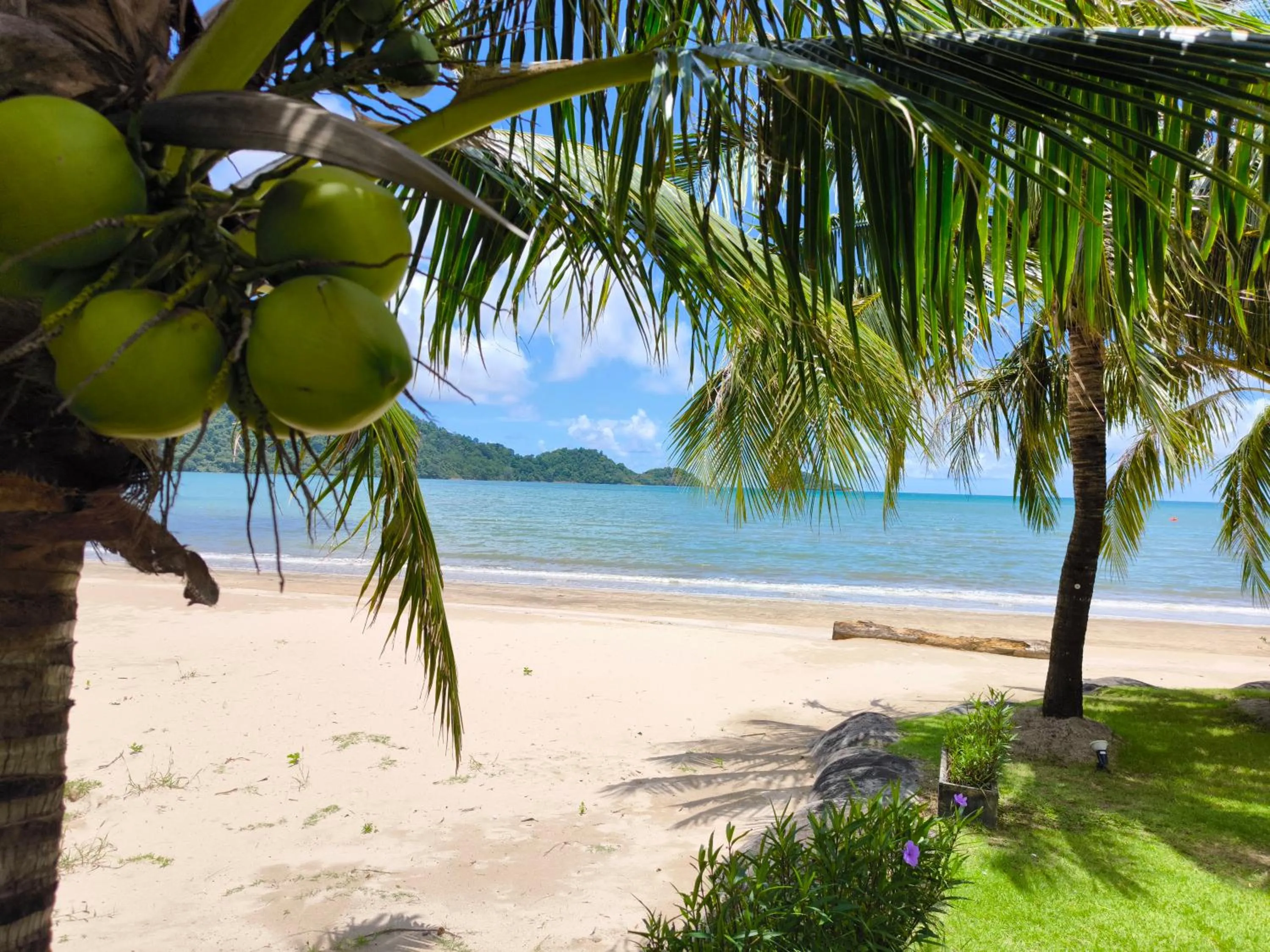 Natural landscape in Siam Royal View Resort Apartments