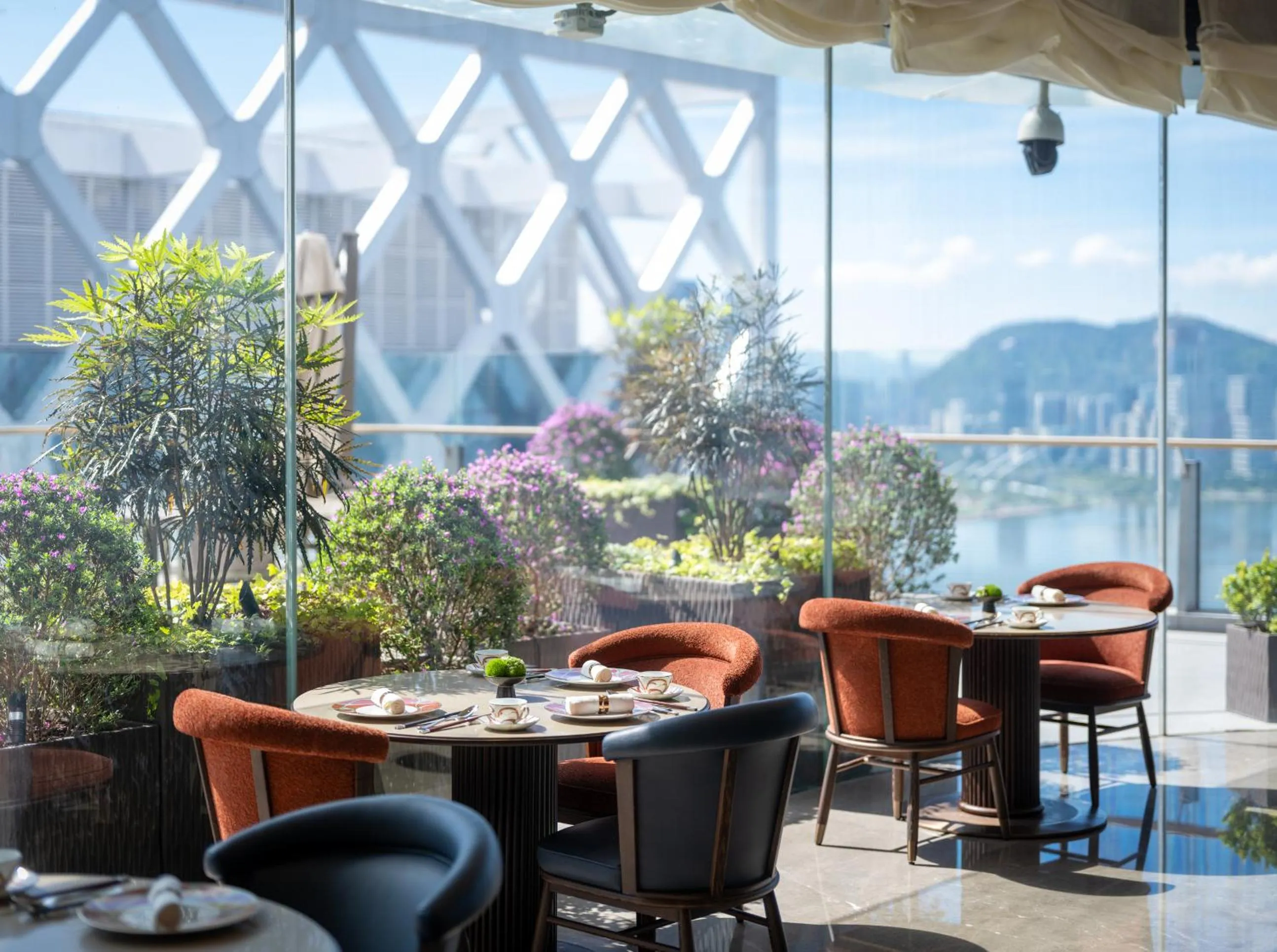 Restaurant/places to eat in The St. Regis Shenzhen Bao'an