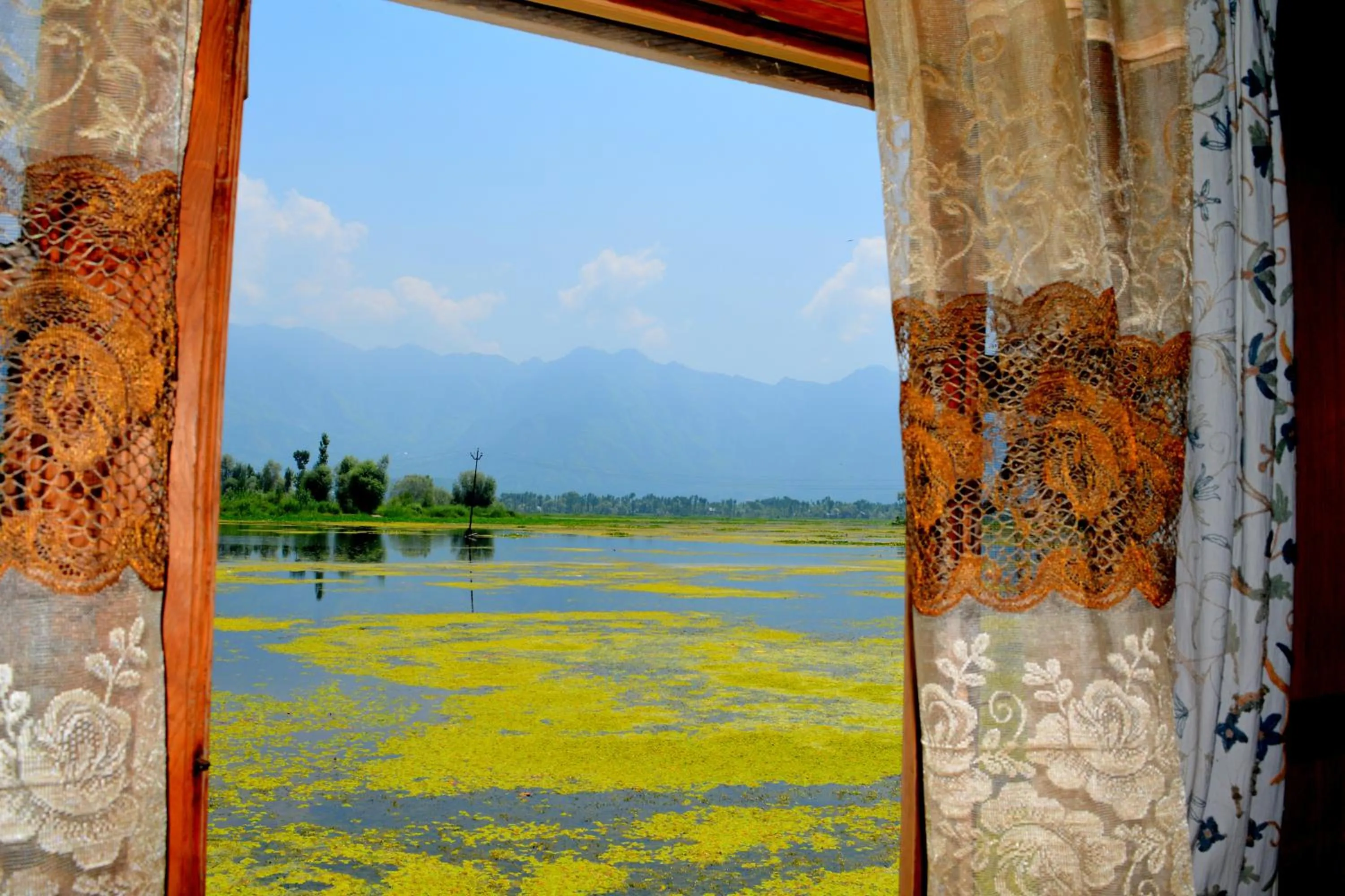 View (from property/room) in Kings Houseboats