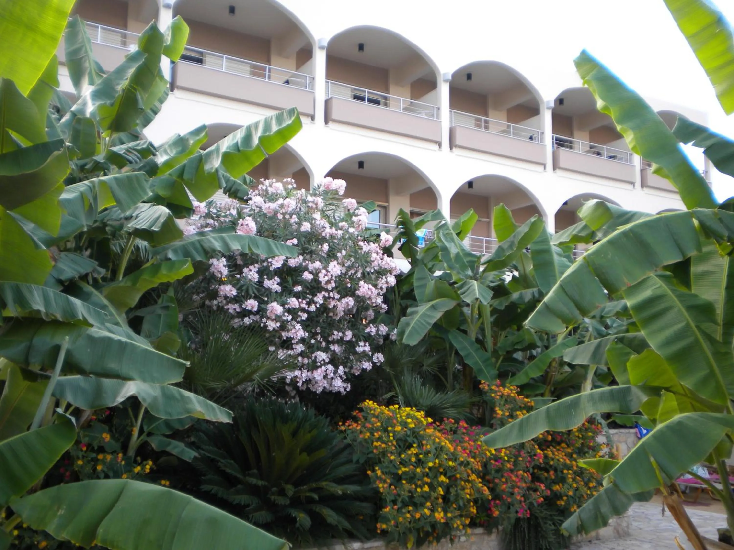Garden in Paradise Lost Hotel-Apartments
