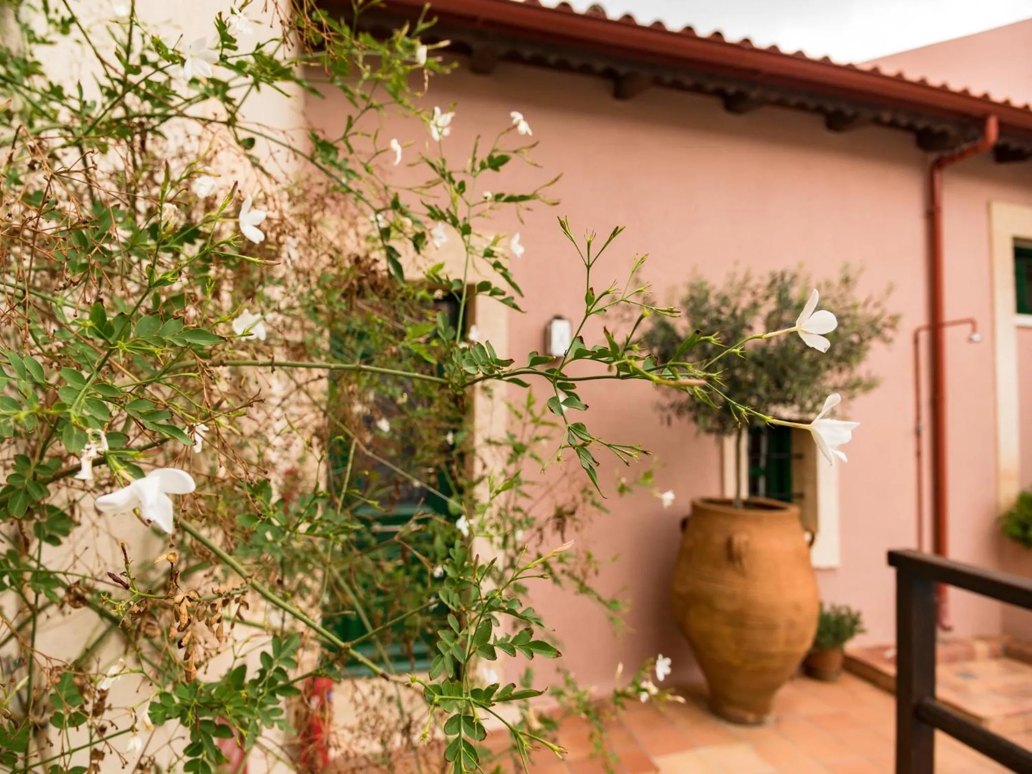 Garden in Villa Archanes