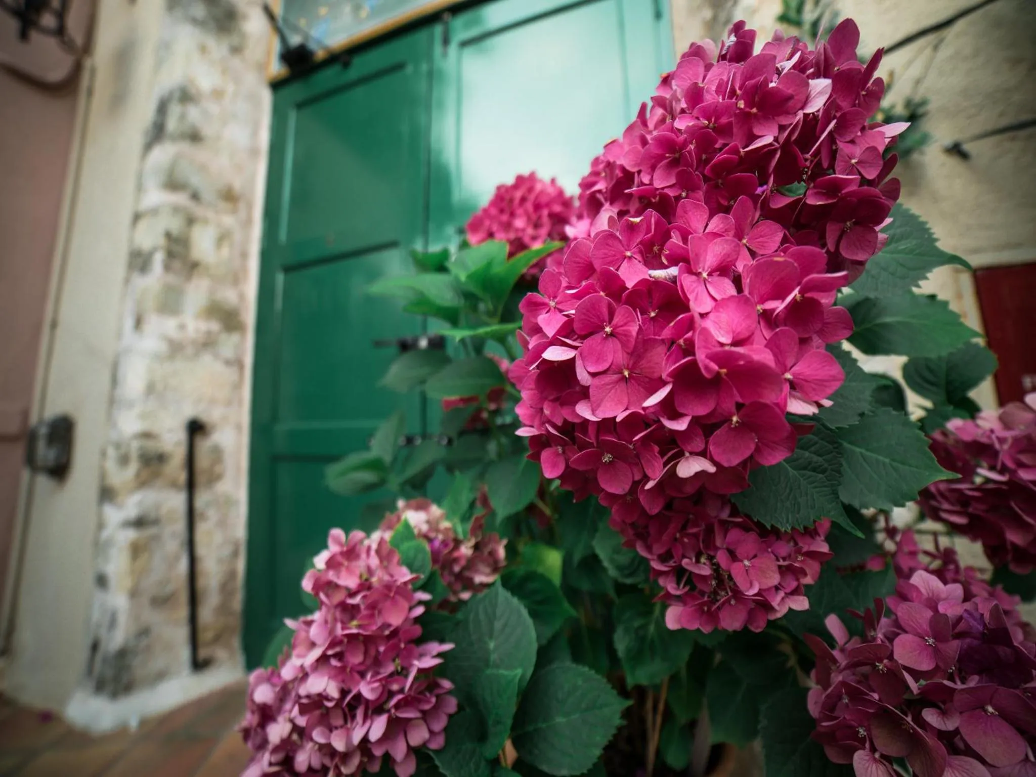 Garden in Villa Archanes