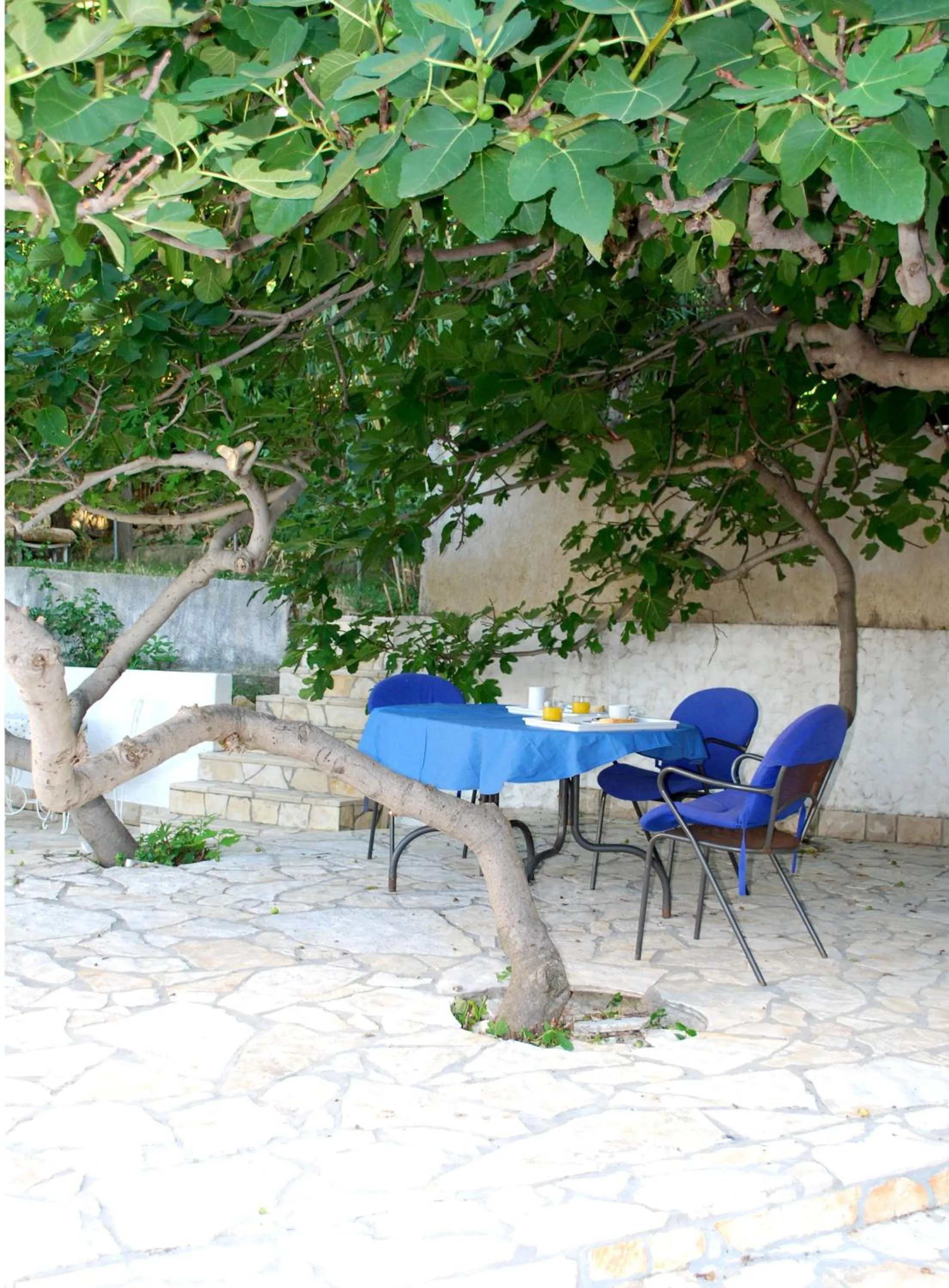 Balcony/Terrace in Lokunja Bed&Breakfast