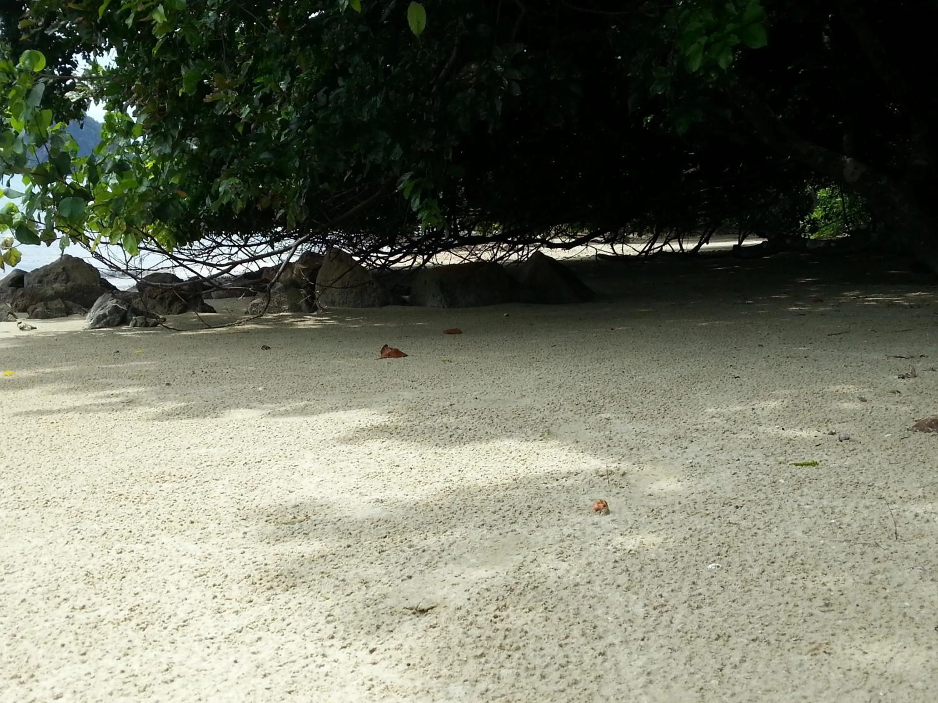 Beach in Esmeralda View Resort - SHA Extra Plus