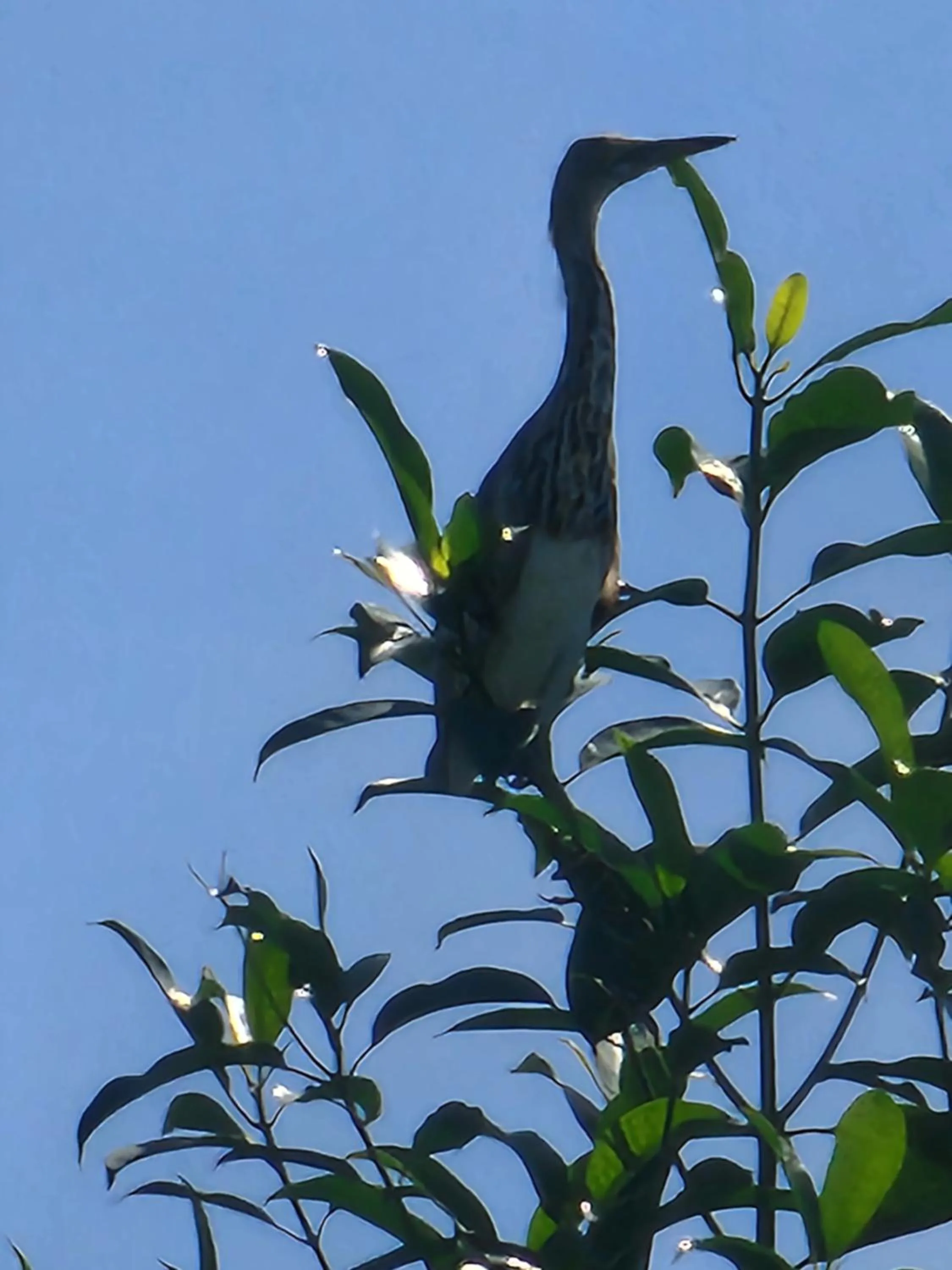 Esmeralda View Resort - SHA Extra Plus