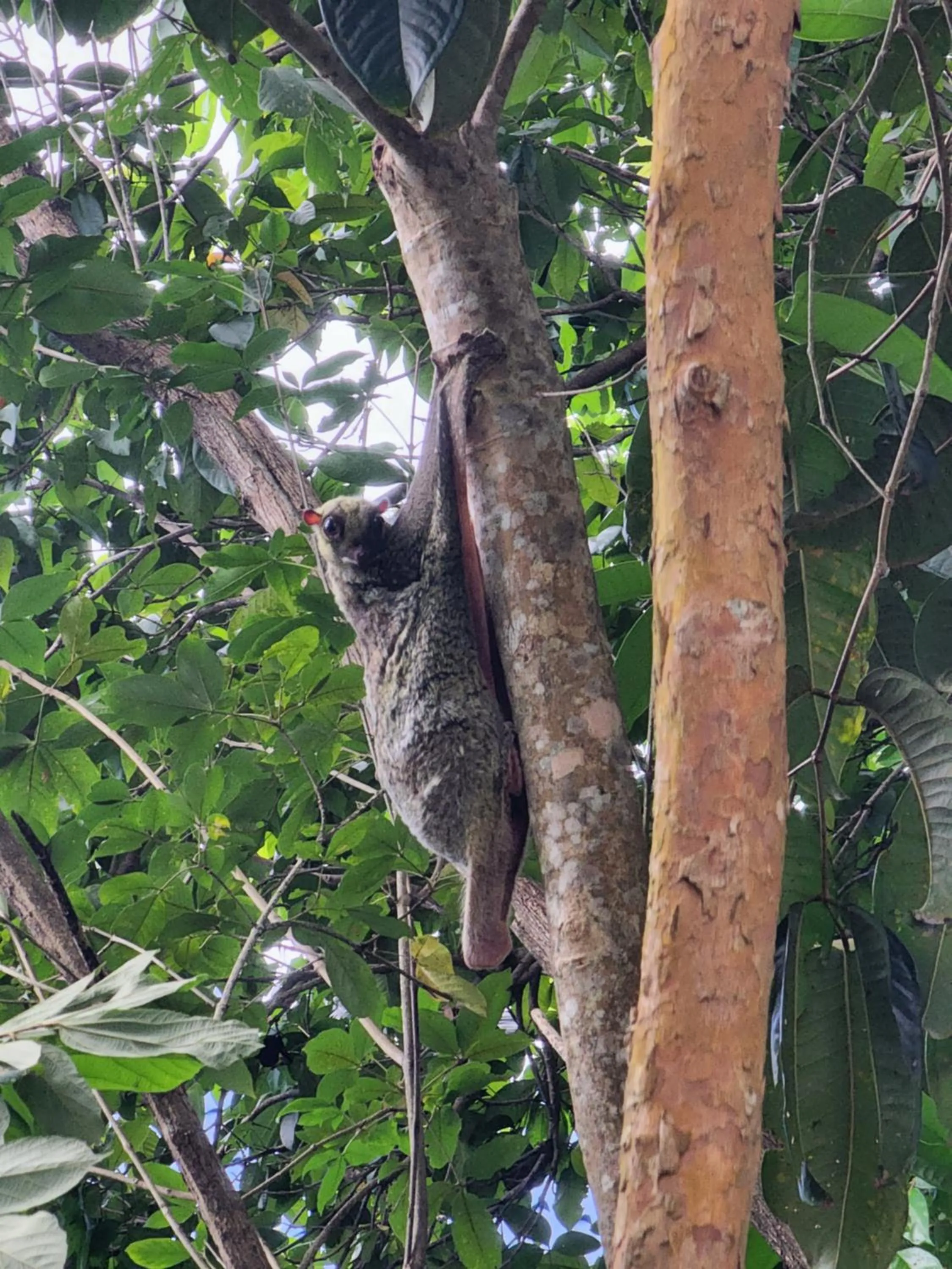 Esmeralda View Resort - SHA Extra Plus