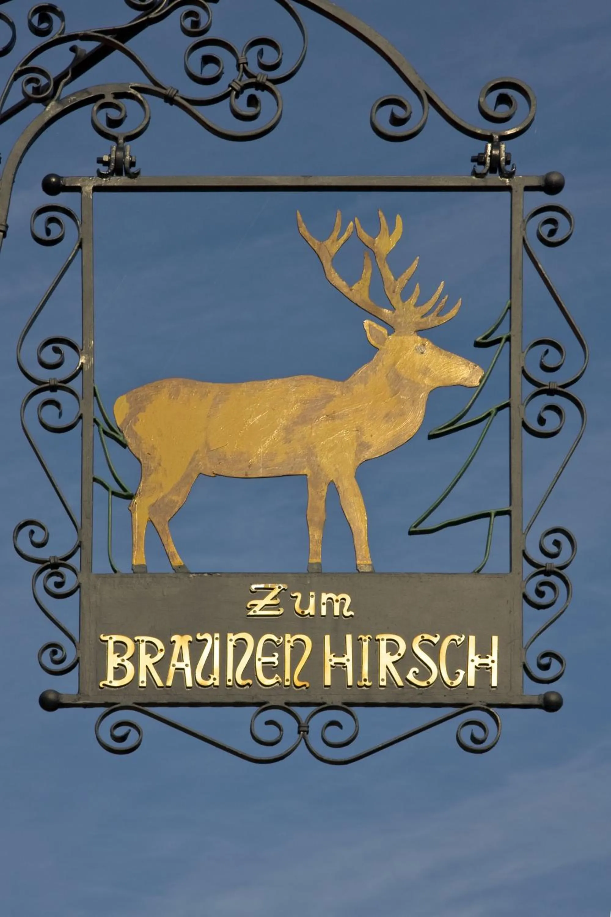 Brauner Hirsch