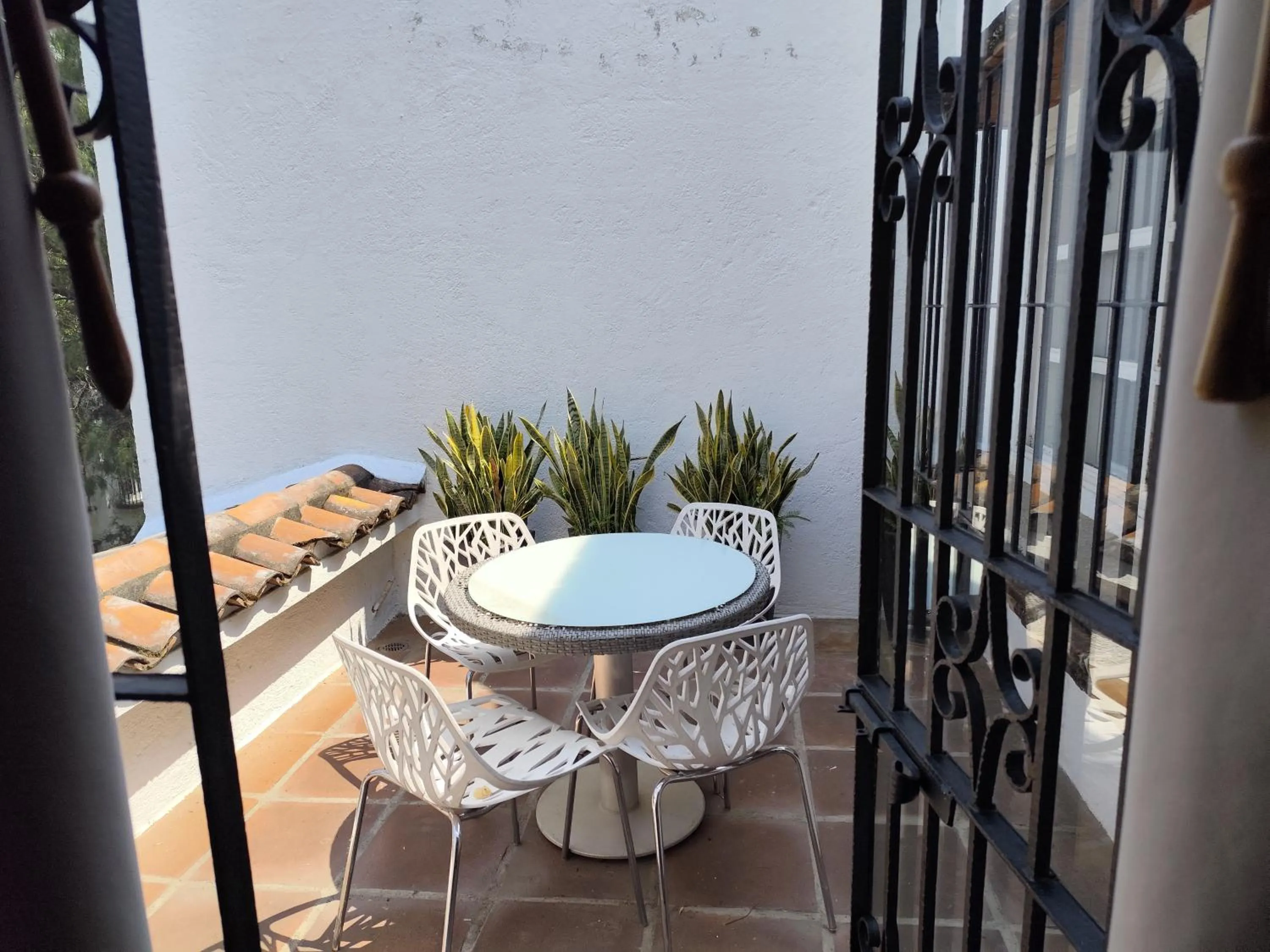 Patio in Casa de las Conchas Cuernavaca