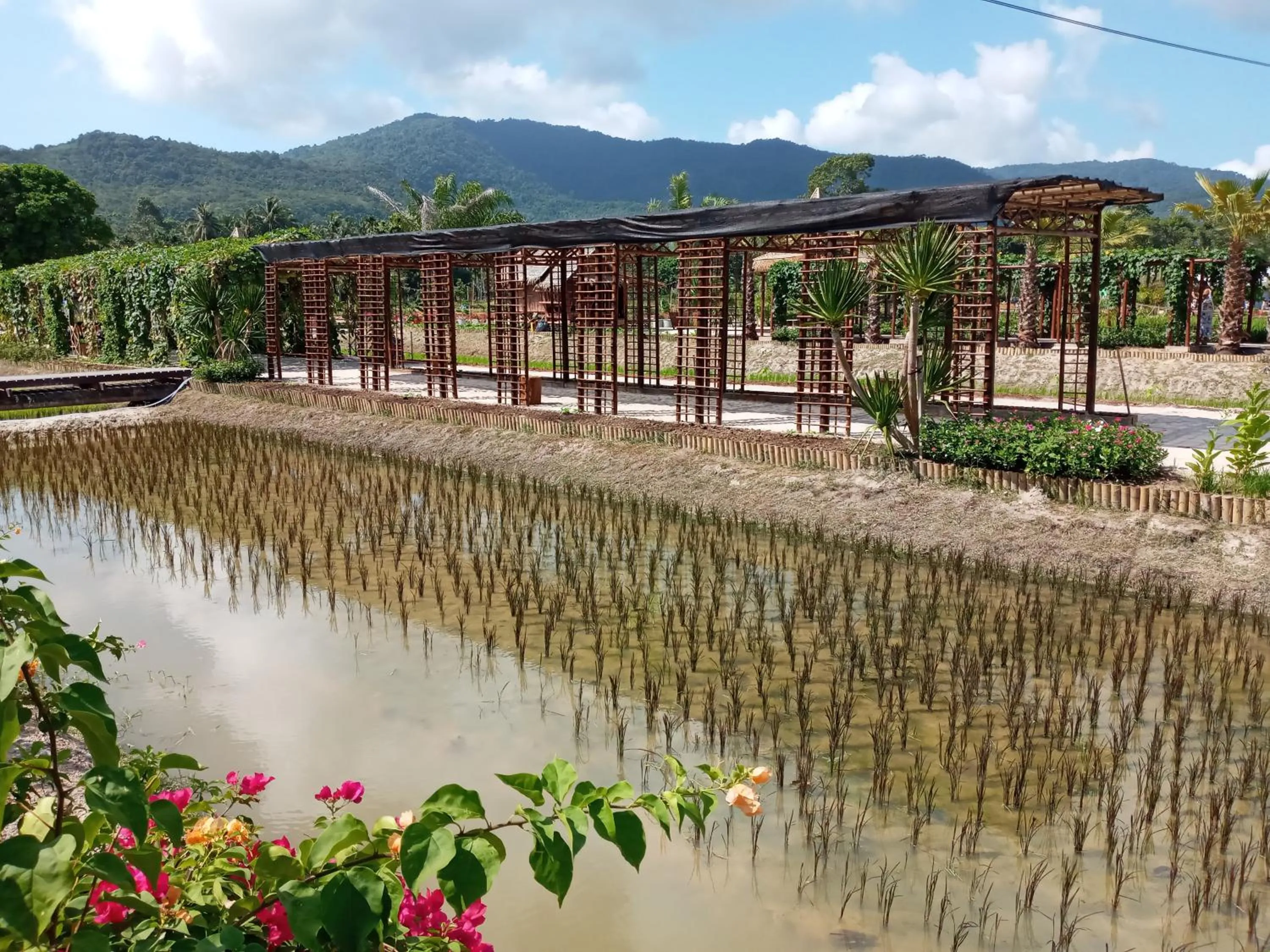 Stella Resort Khanom