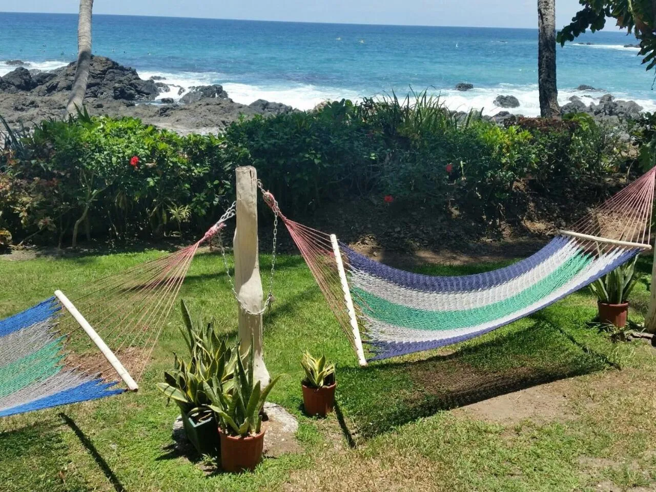 Garden in Hotel Cabinas Mar Y Cielo