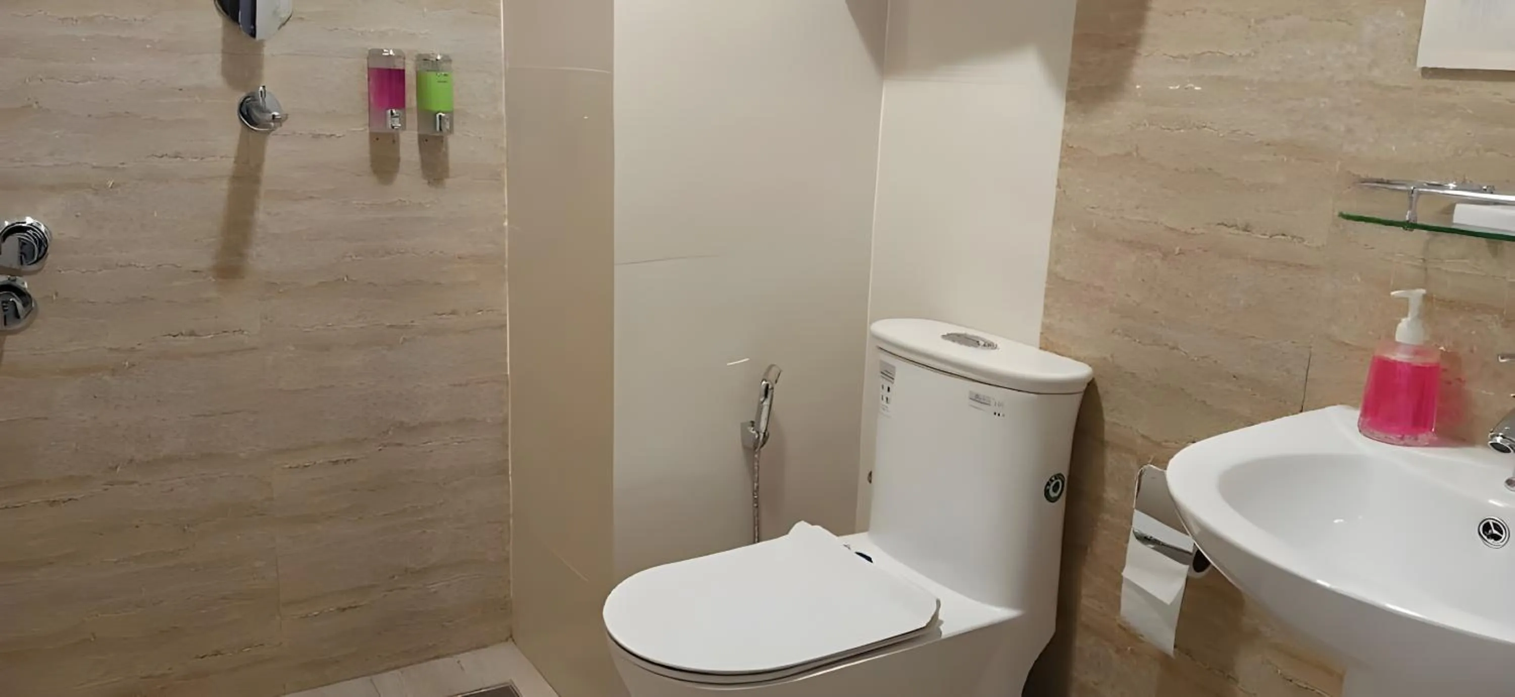 Toilet in Hotel Sherpani
