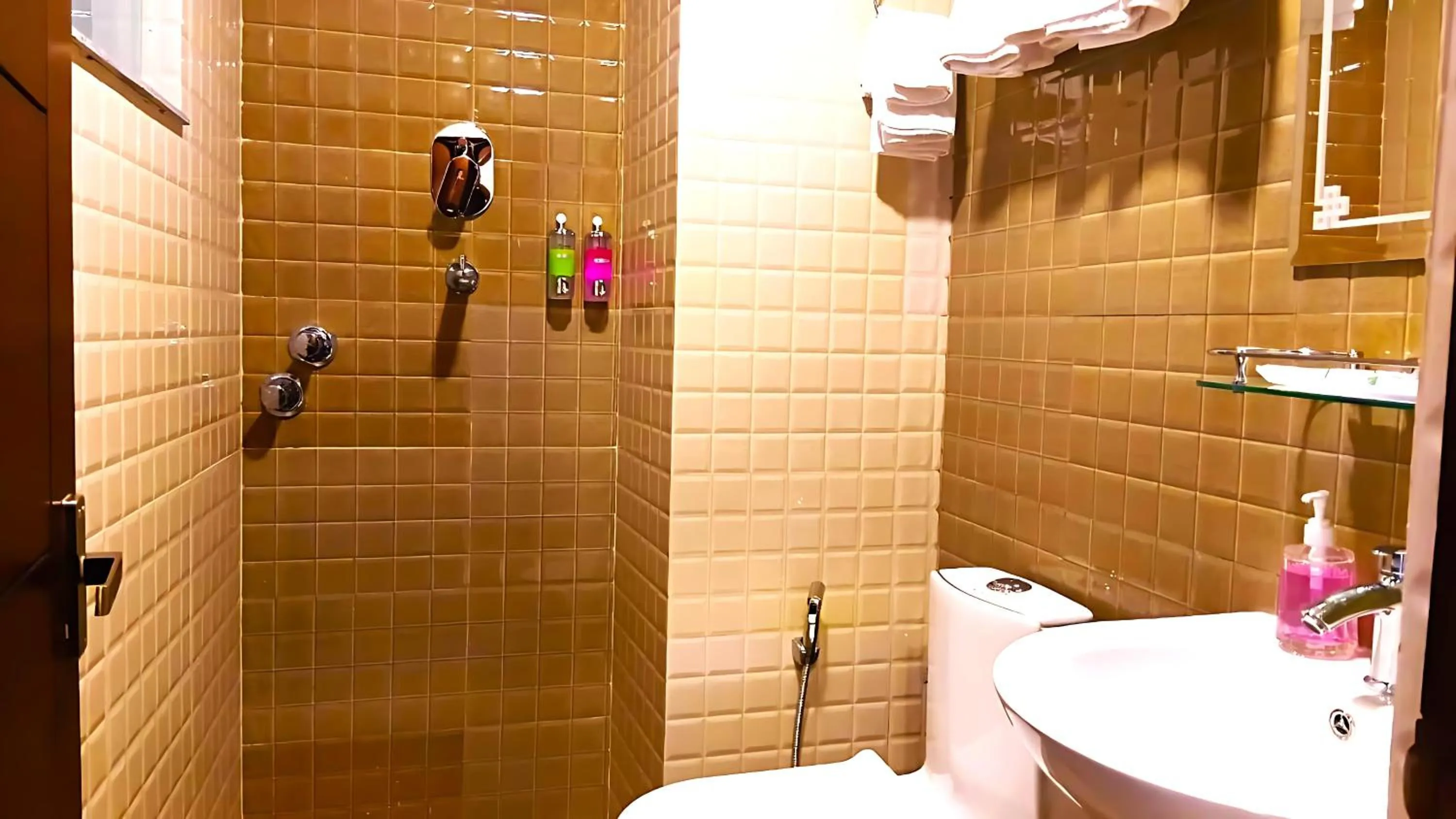 Bathroom in Hotel Sherpani