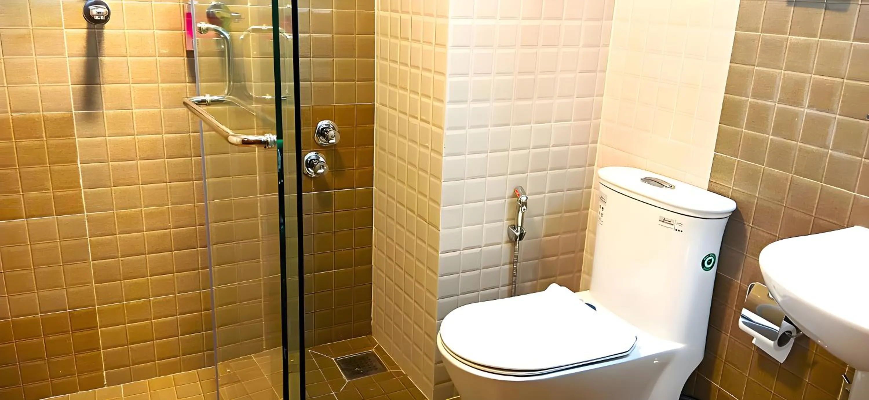 Shower in Hotel Sherpani