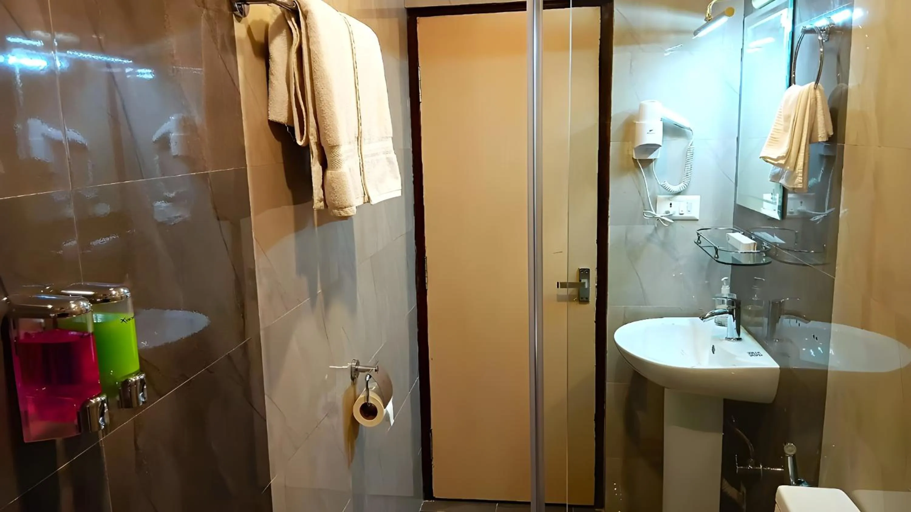 Toilet in Hotel Sherpani