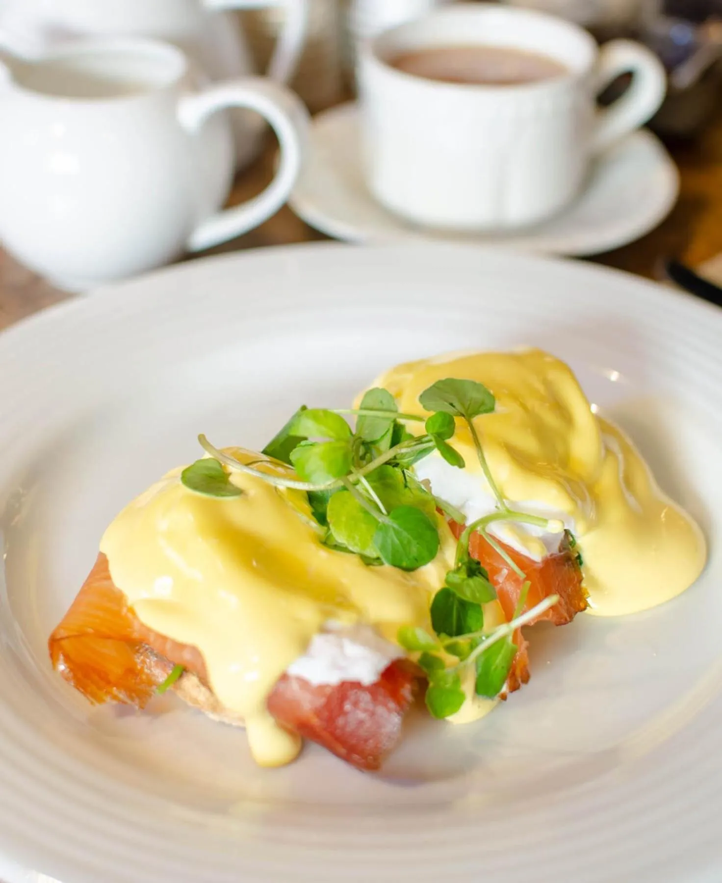 Food and drinks in Cockhaven Arms