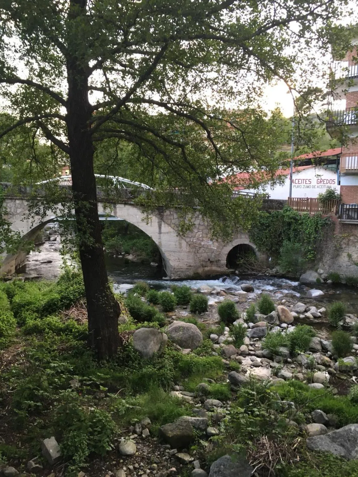 Activities in Hostal La Taberna