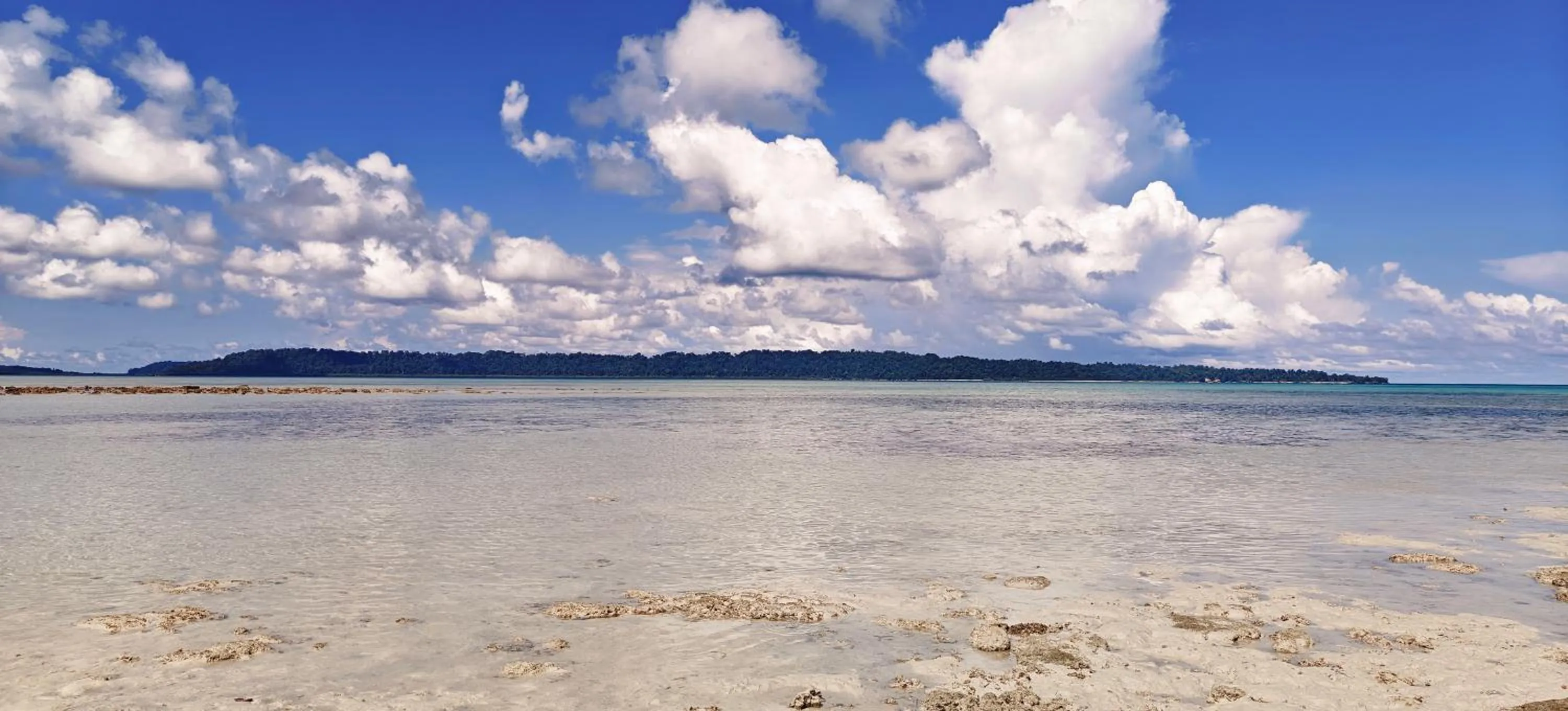 Nearby landmark in Arina Island Resort - A Bergamont Hotel, Havelock