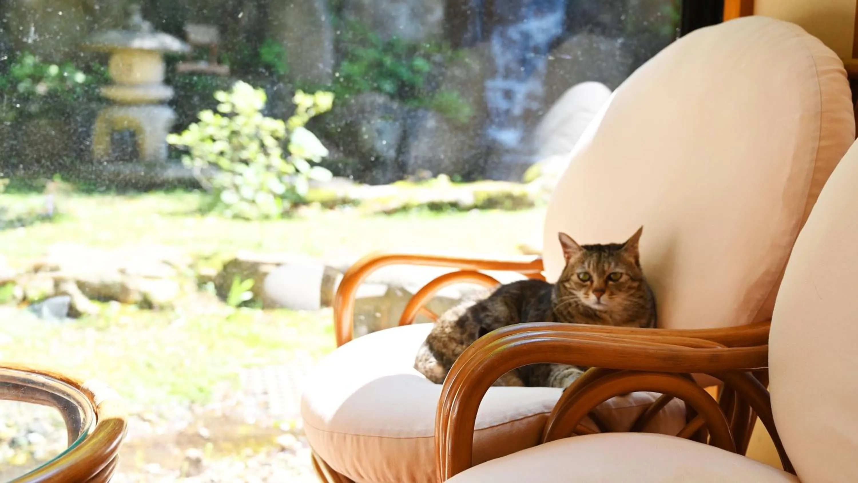 Garden in Akasawa Onsen Ryokan