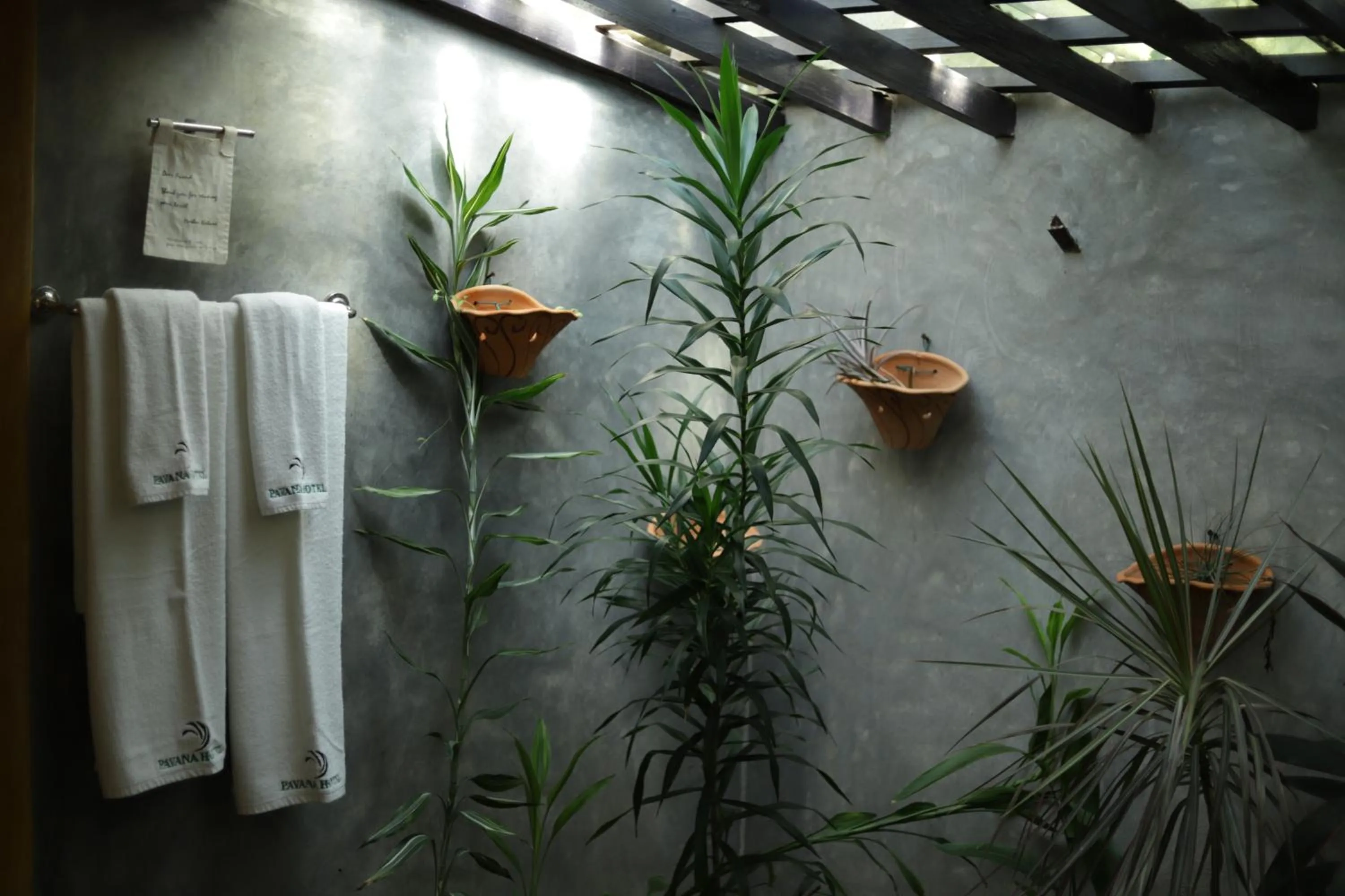 Single Room with Garden View in Pavana Hotel