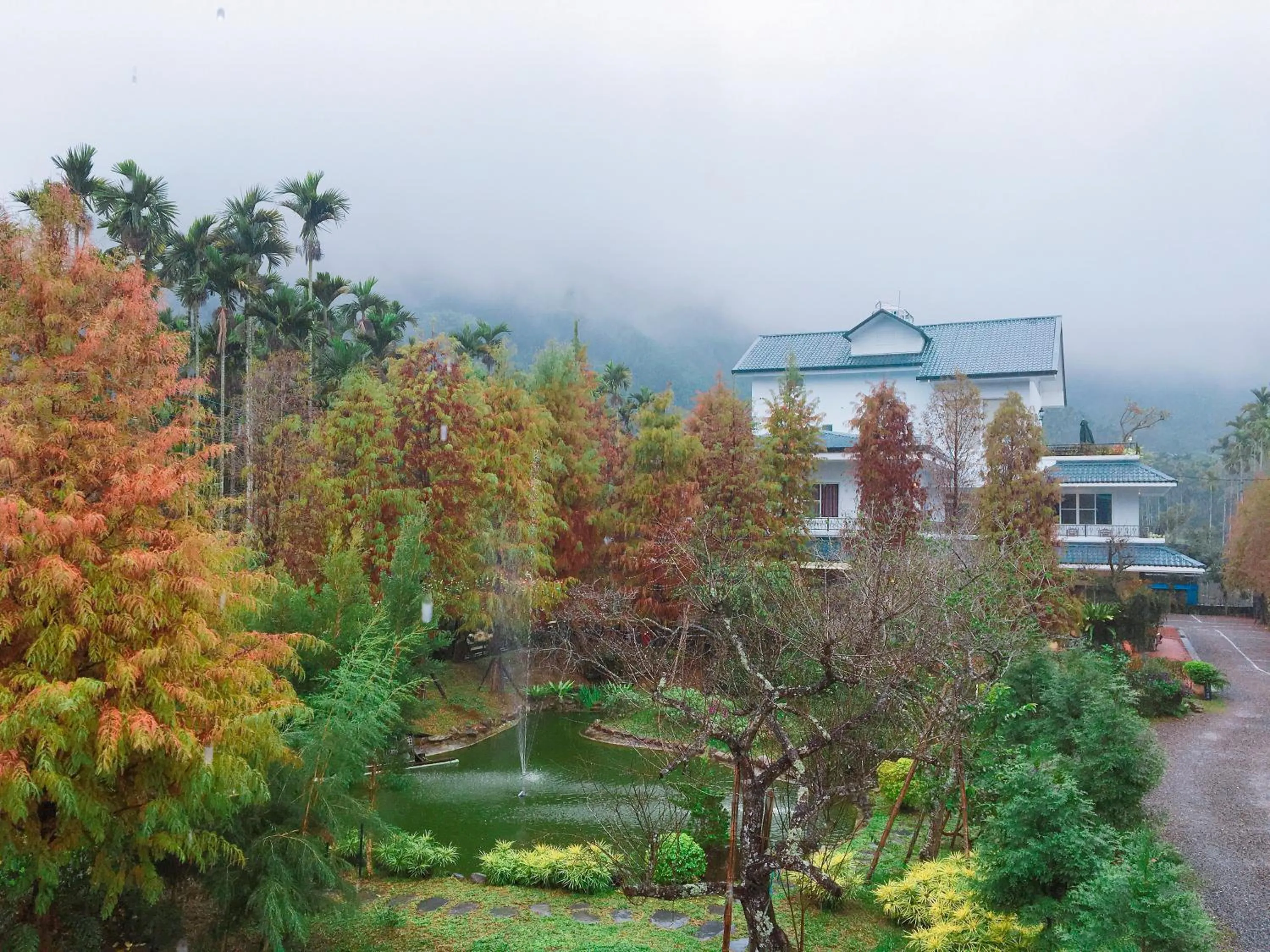 Garden view in Look Bed and Breakfast