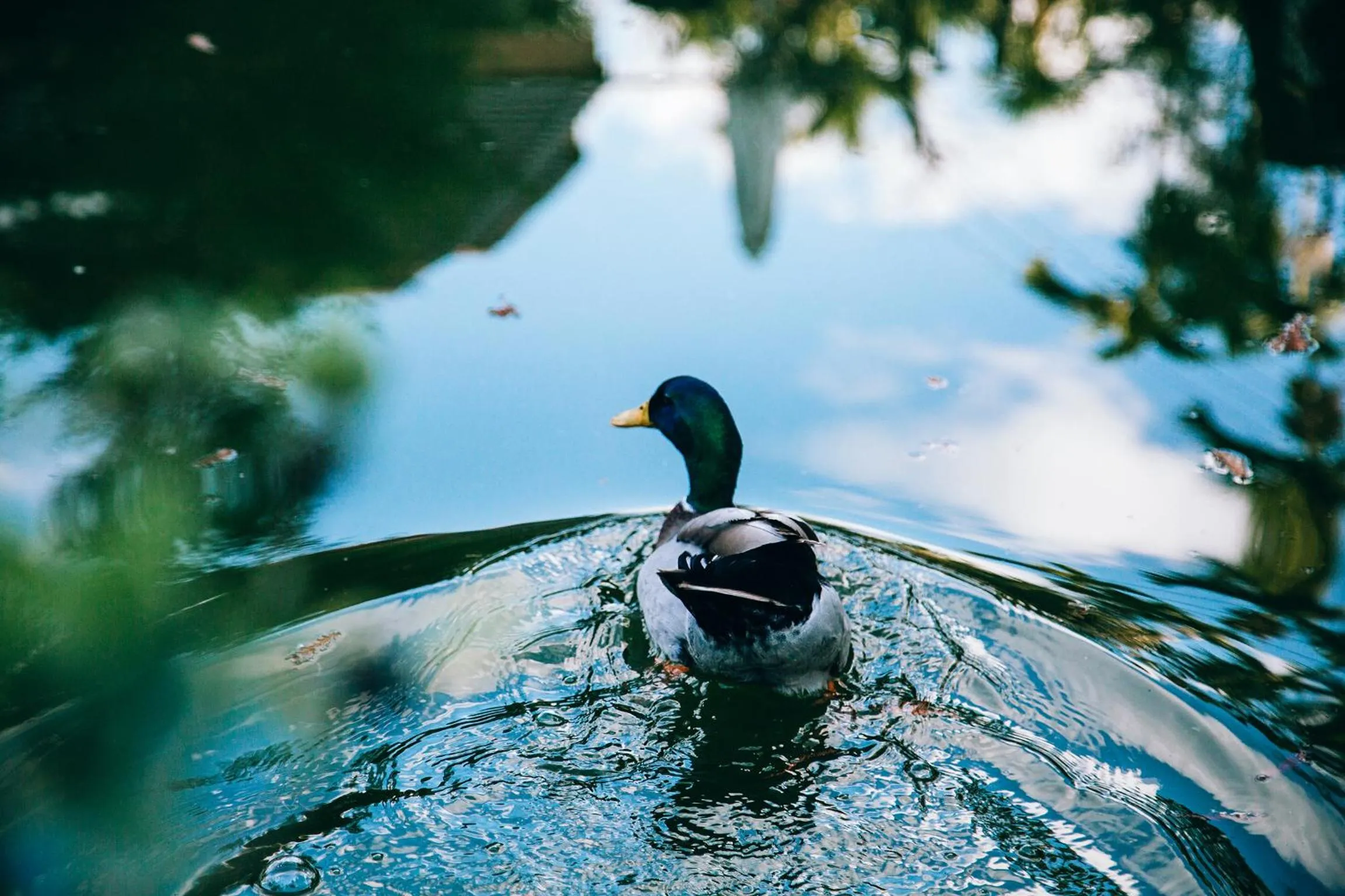 Look Bed and Breakfast