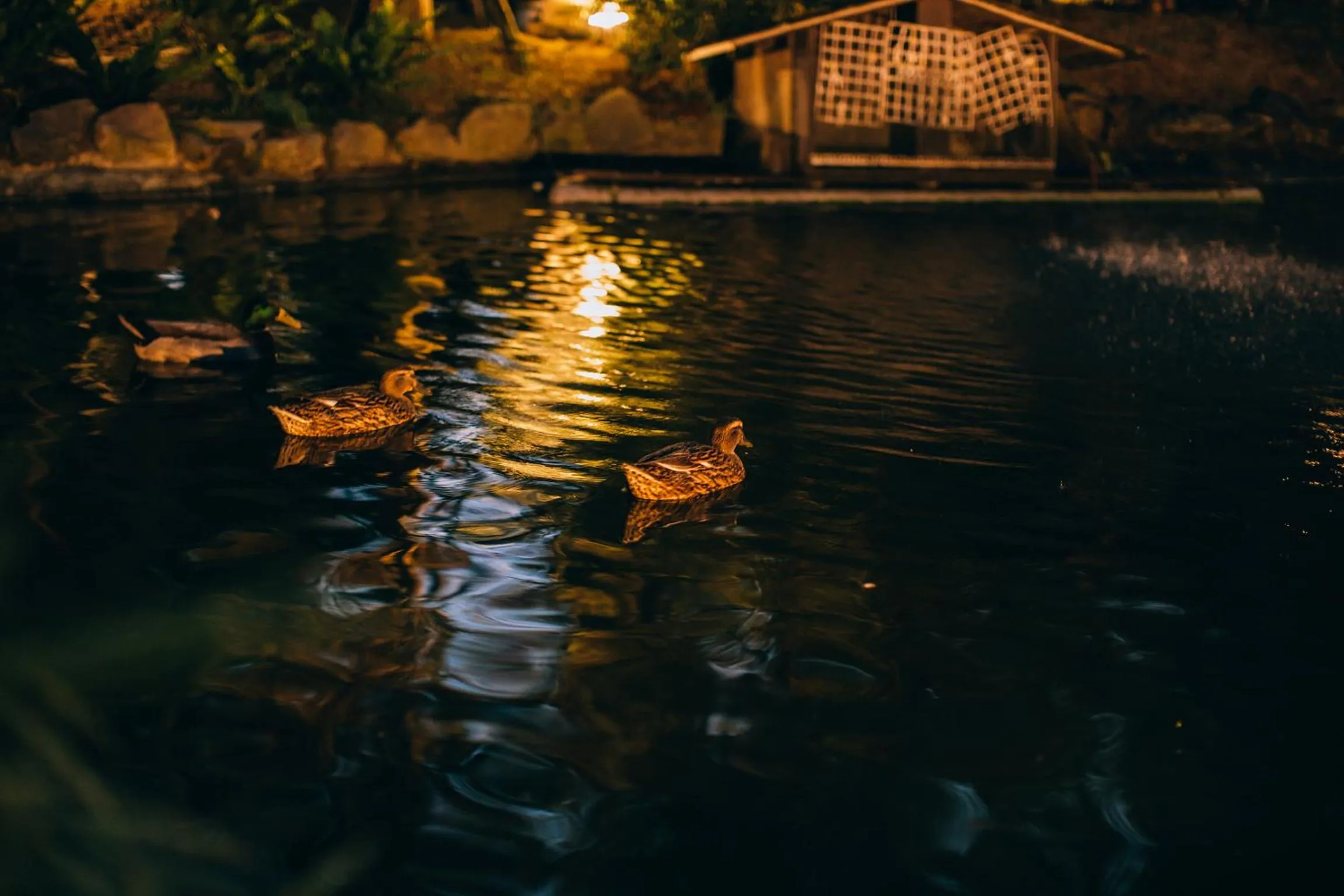 Look Bed and Breakfast