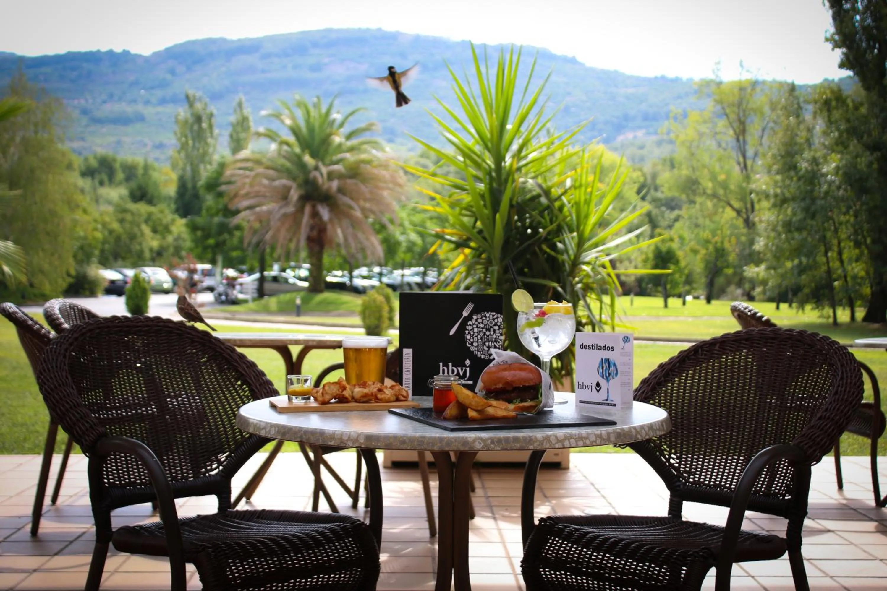 Lounge or bar in Hotel Balneario Valle del Jerte