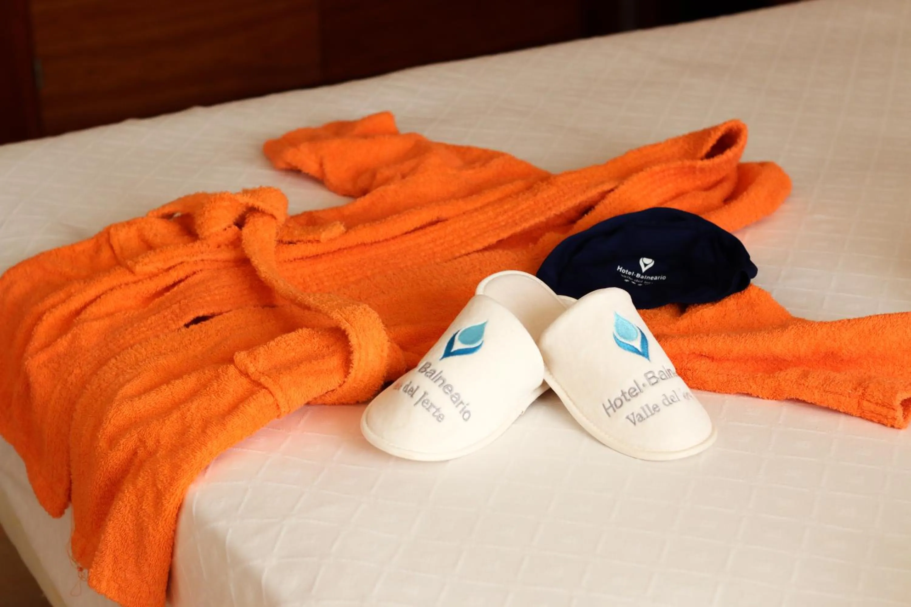 Decorative detail, Bed in Hotel Balneario Valle del Jerte