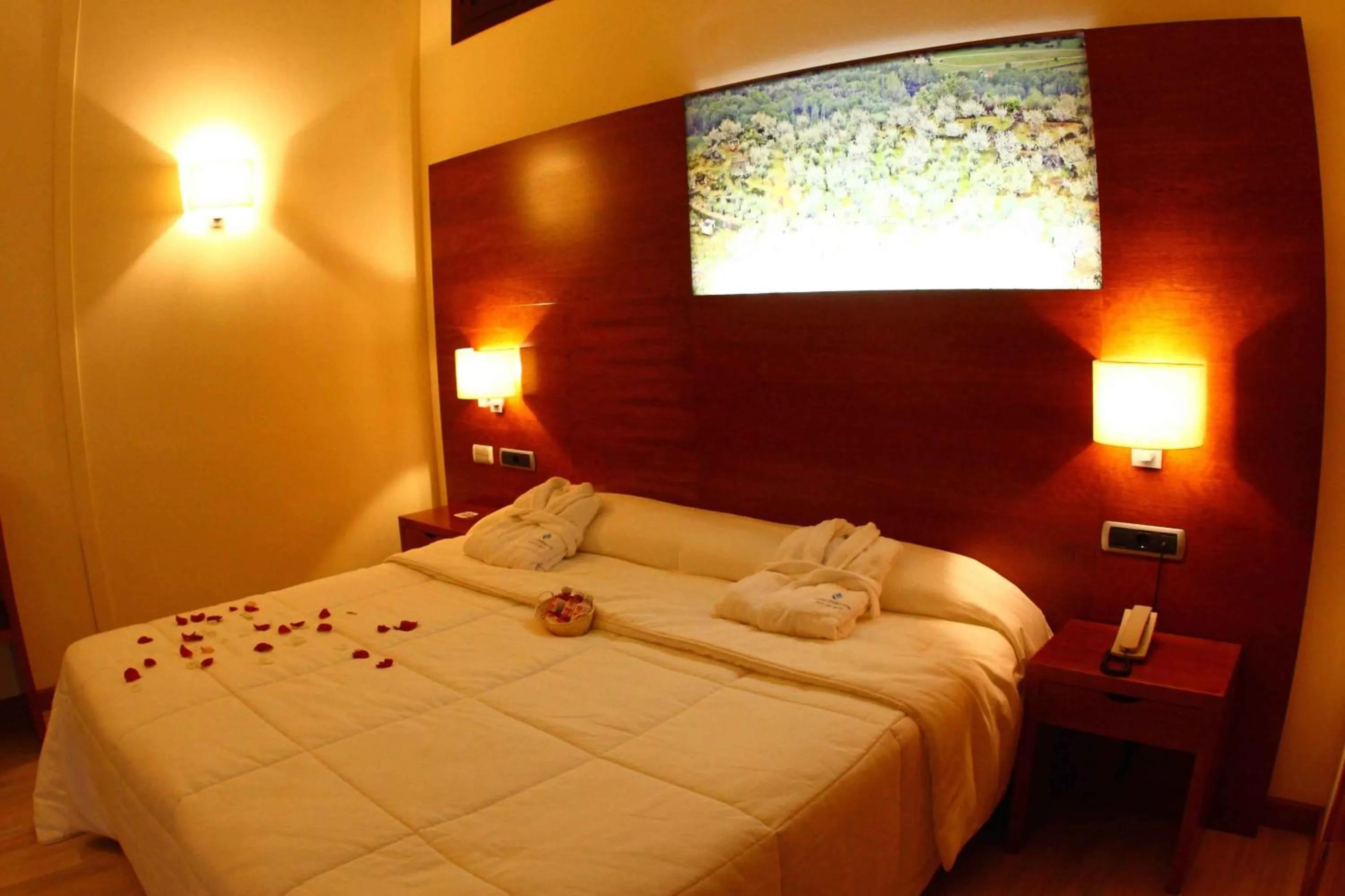 Photo of the whole room, Bed in Hotel Balneario Valle del Jerte