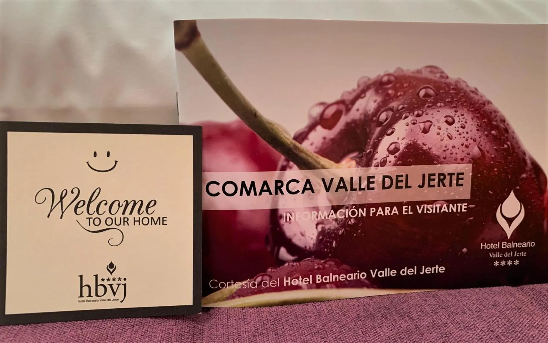 Decorative detail in Hotel Balneario Valle del Jerte