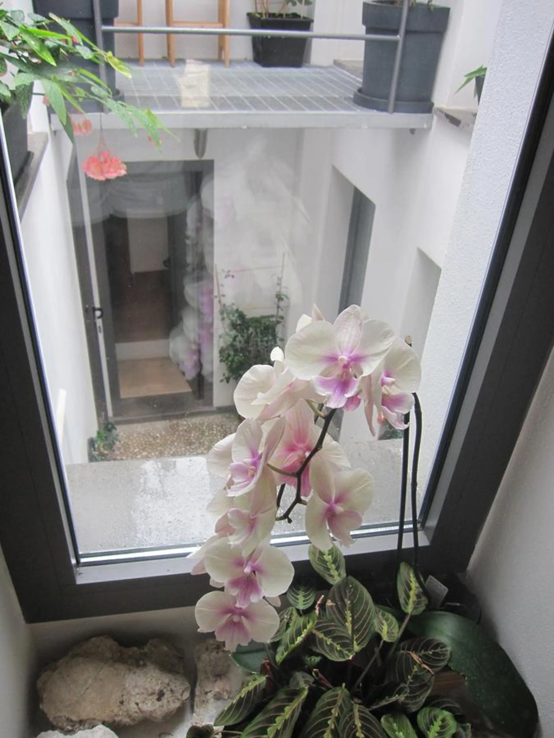 Decorative detail in Brancadoria B&B