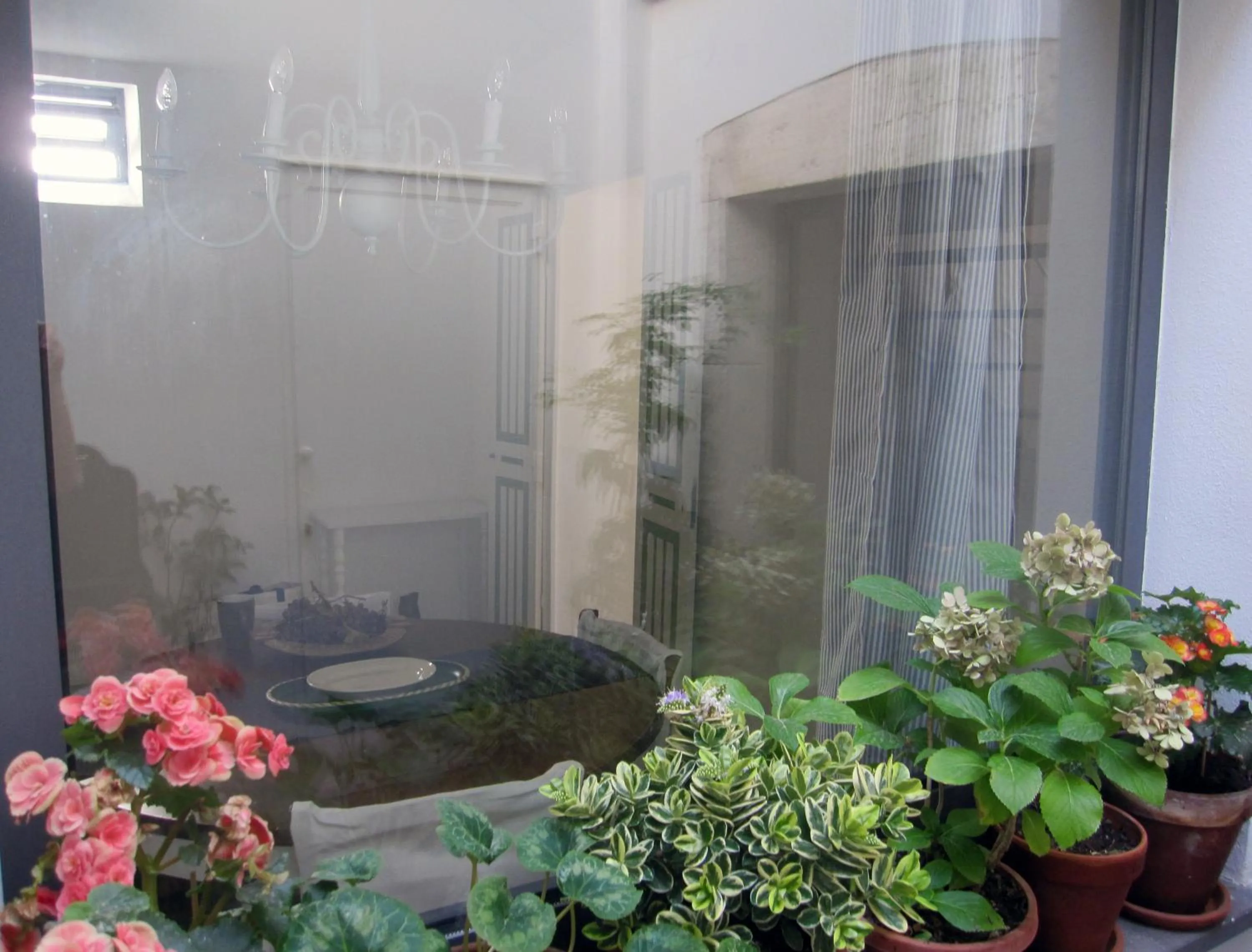 Patio in Brancadoria B&B