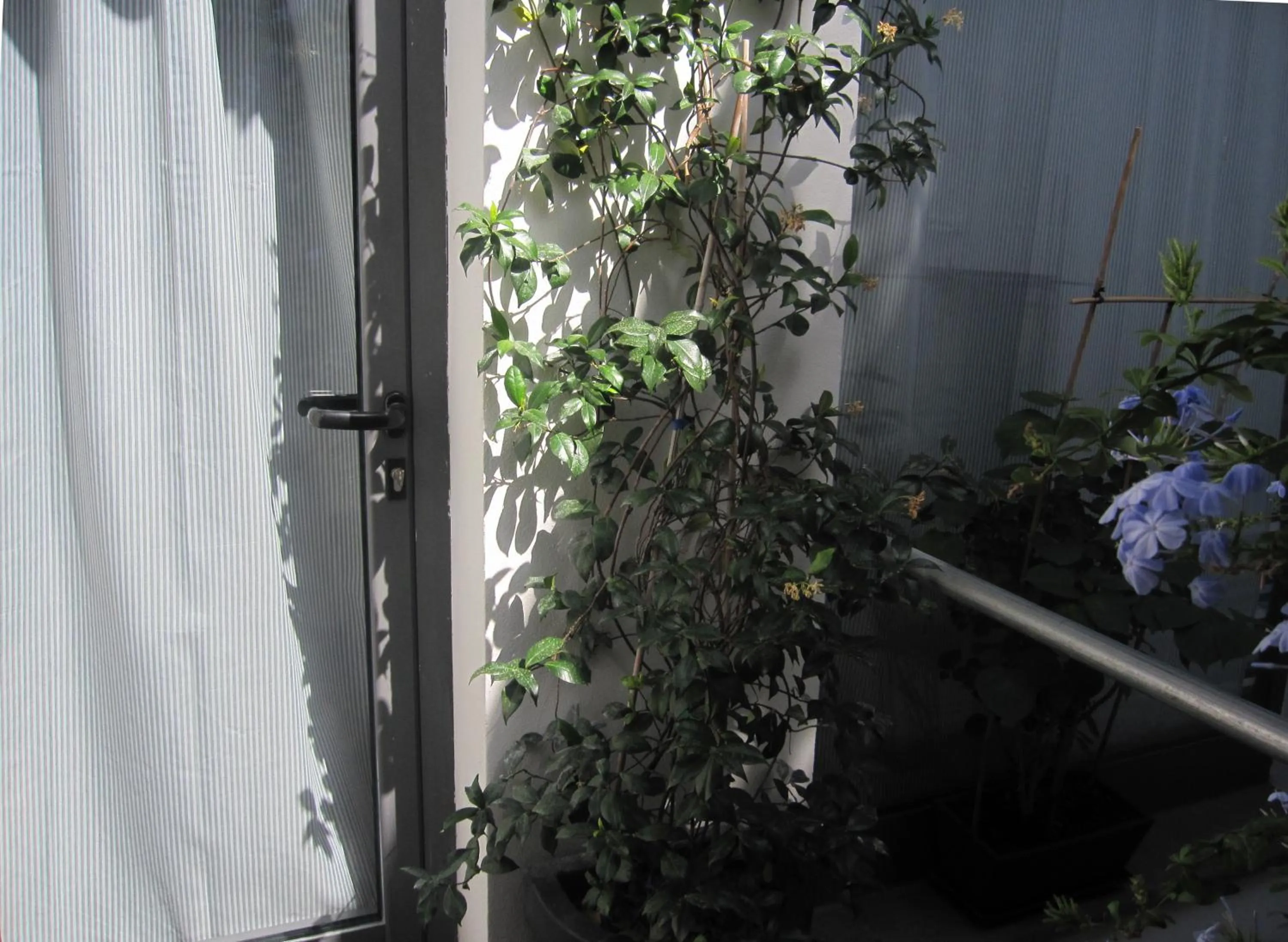 Balcony/Terrace in Brancadoria B&B