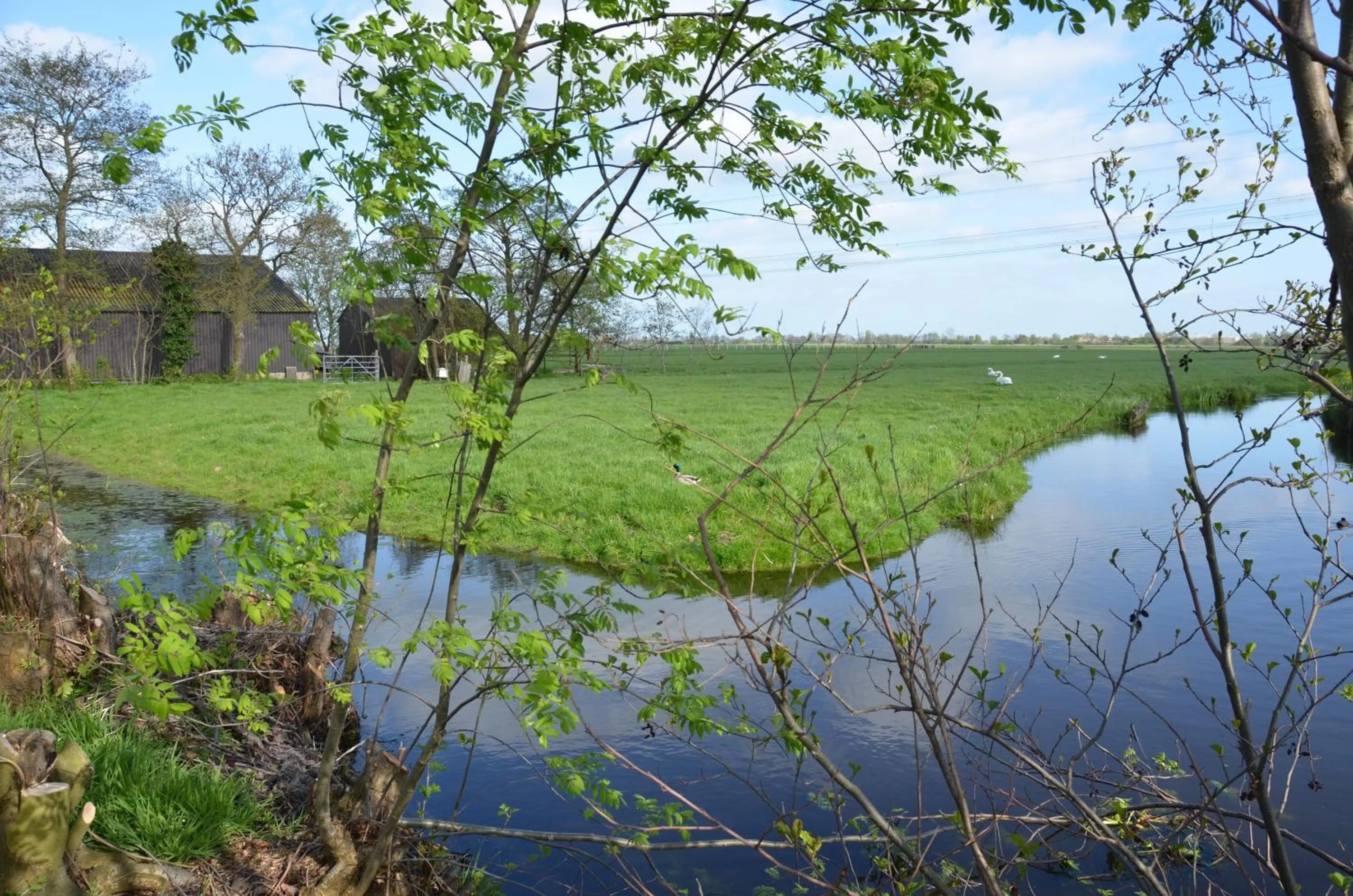 Natural landscape in Bed and breakfast Hoeve Spoorzicht