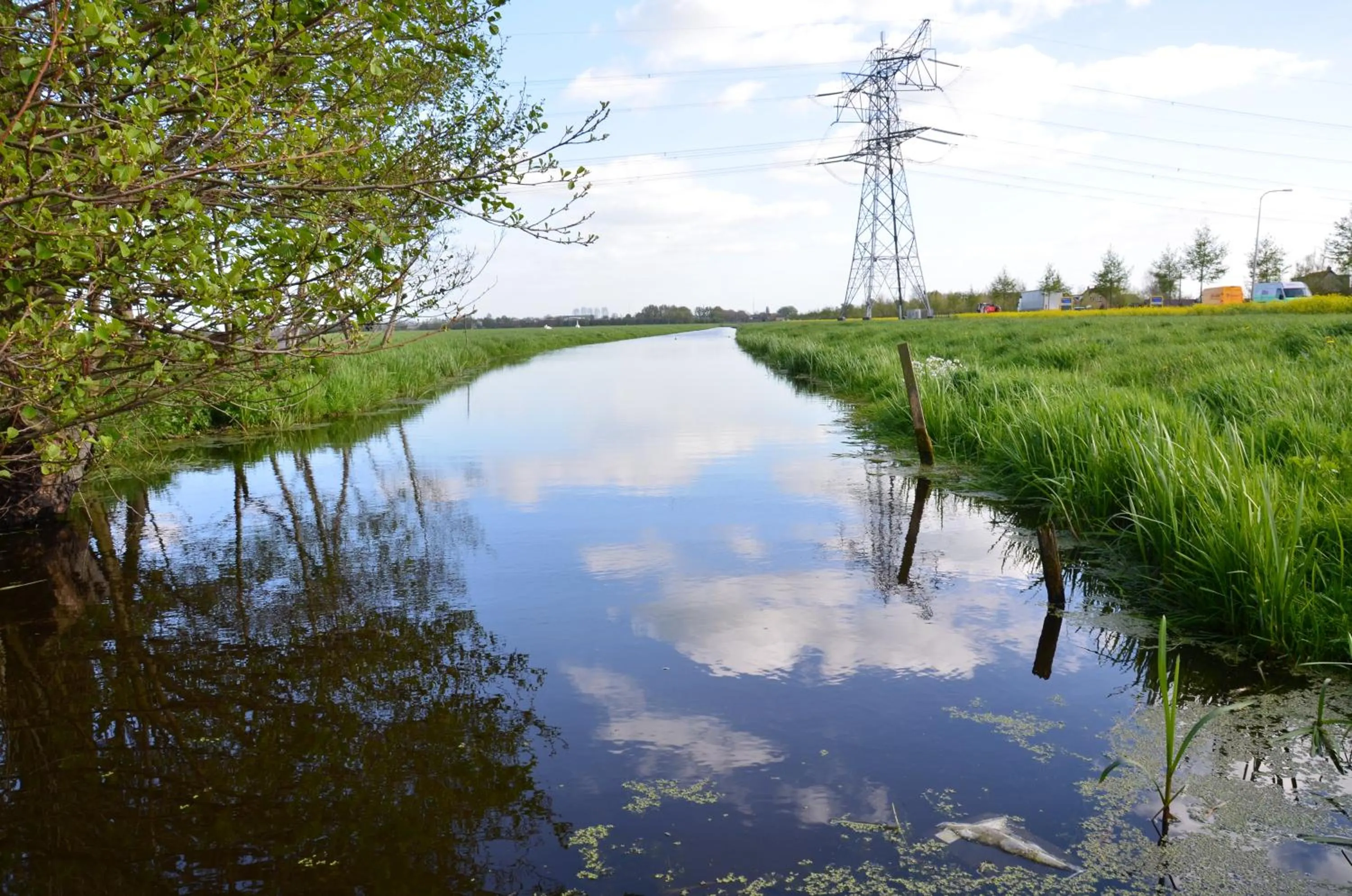 Spring in Bed and breakfast Hoeve Spoorzicht