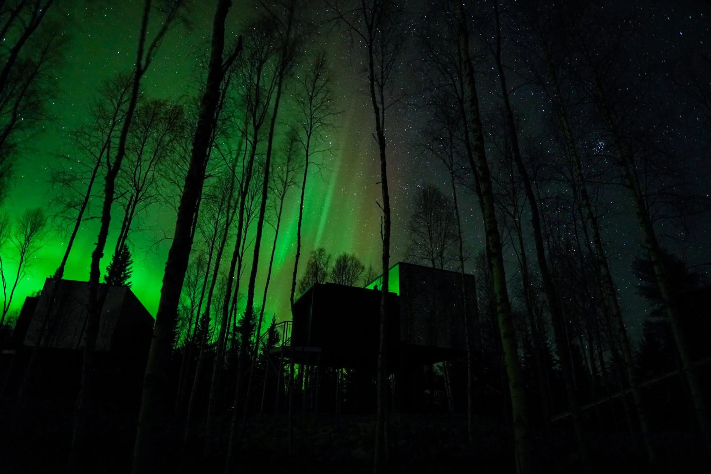 Property building in Silver Birch Resort Lapland