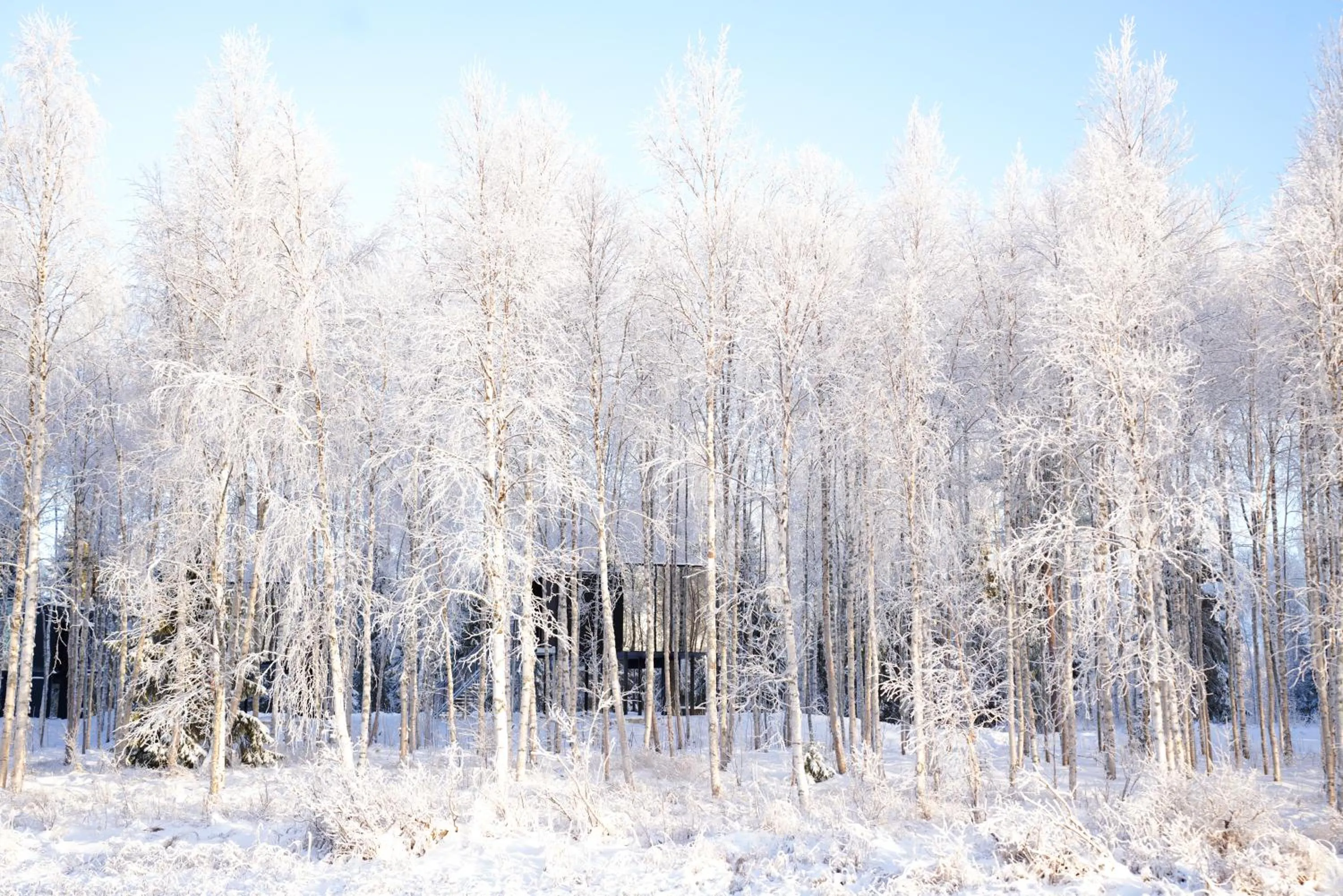 Property building in Silver Birch Resort Lapland