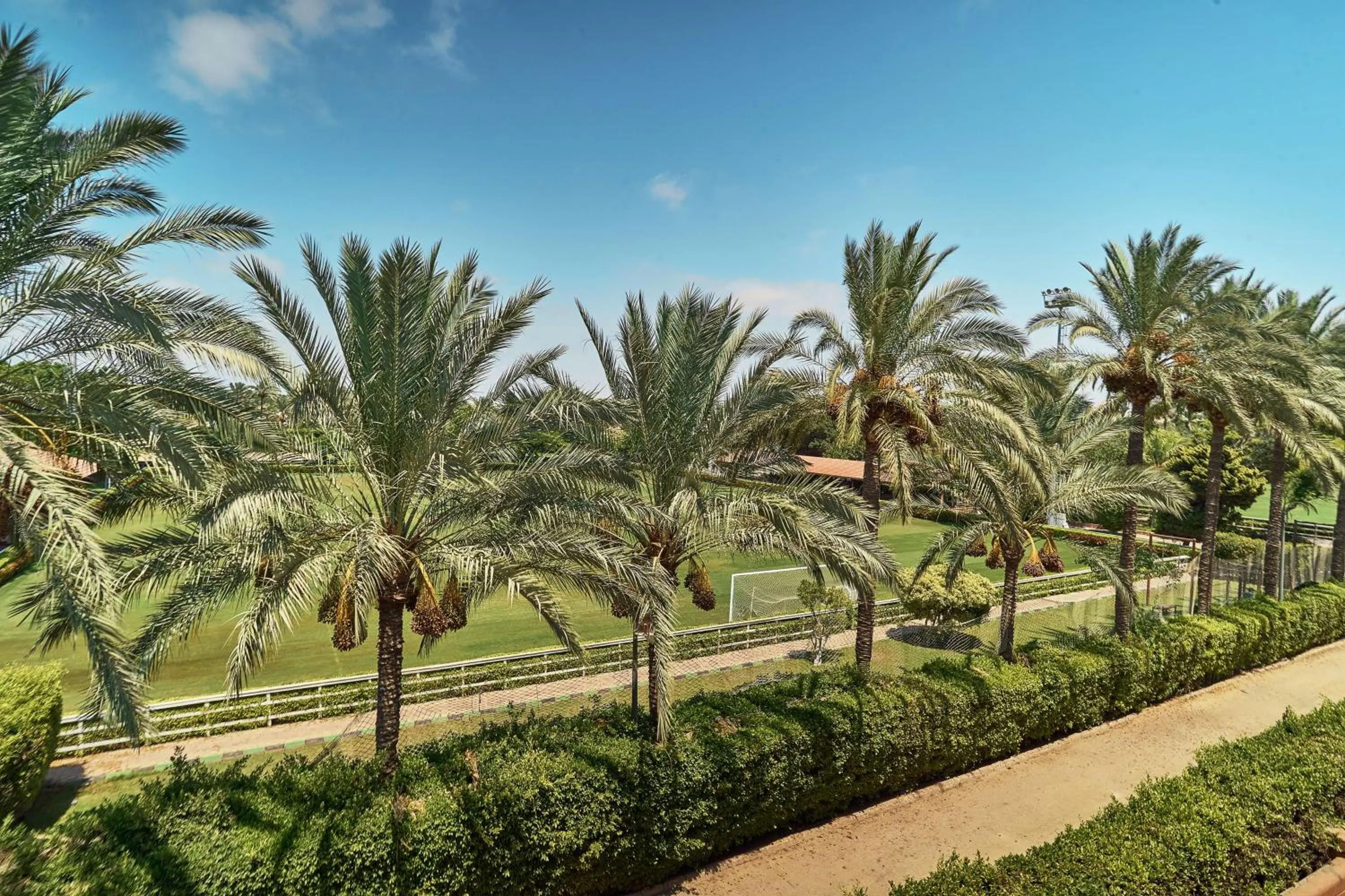 View (from property/room) in Hilton Alexandria King's Ranch Hotel