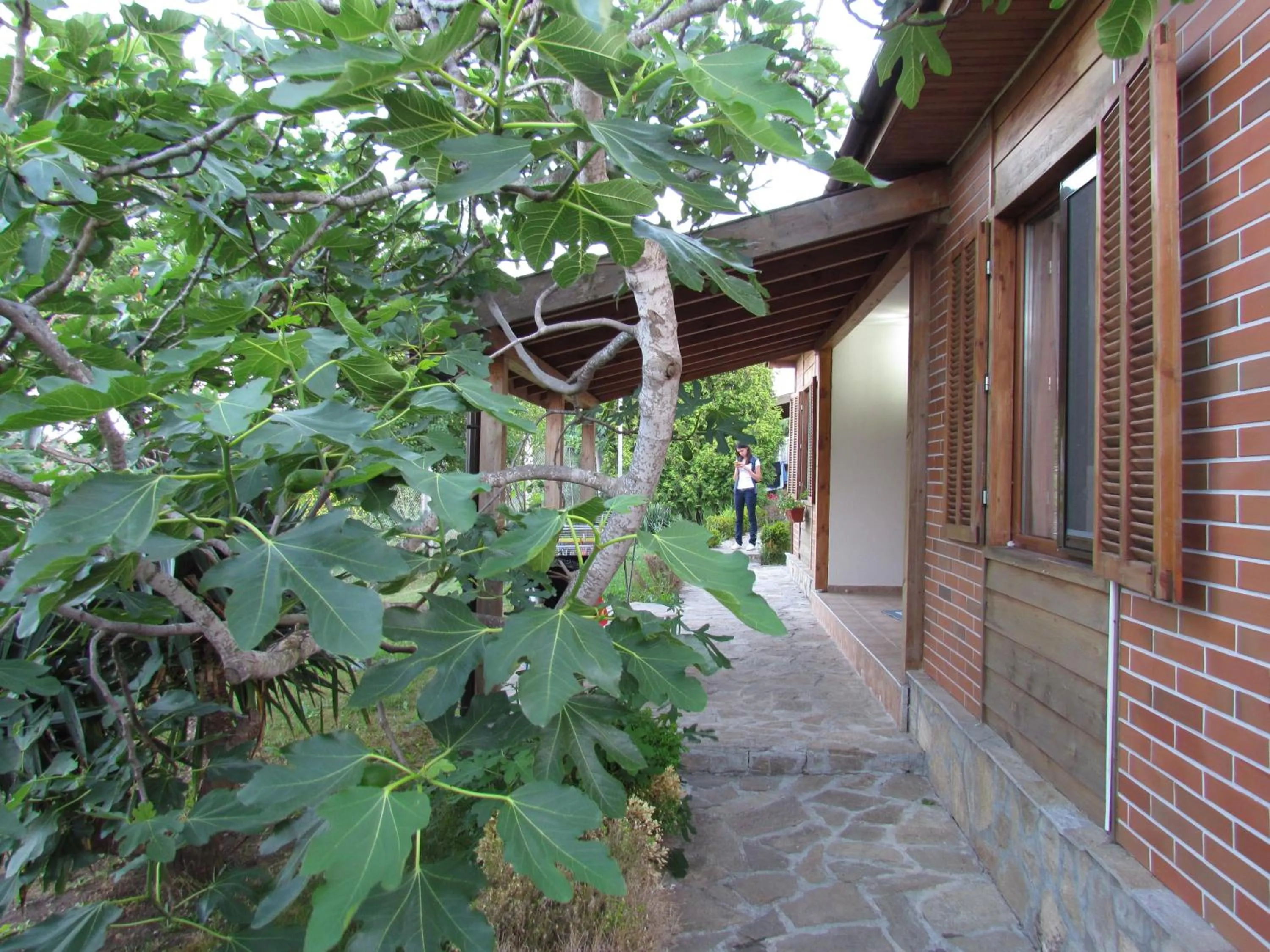 Villas and Bungalows Panorama