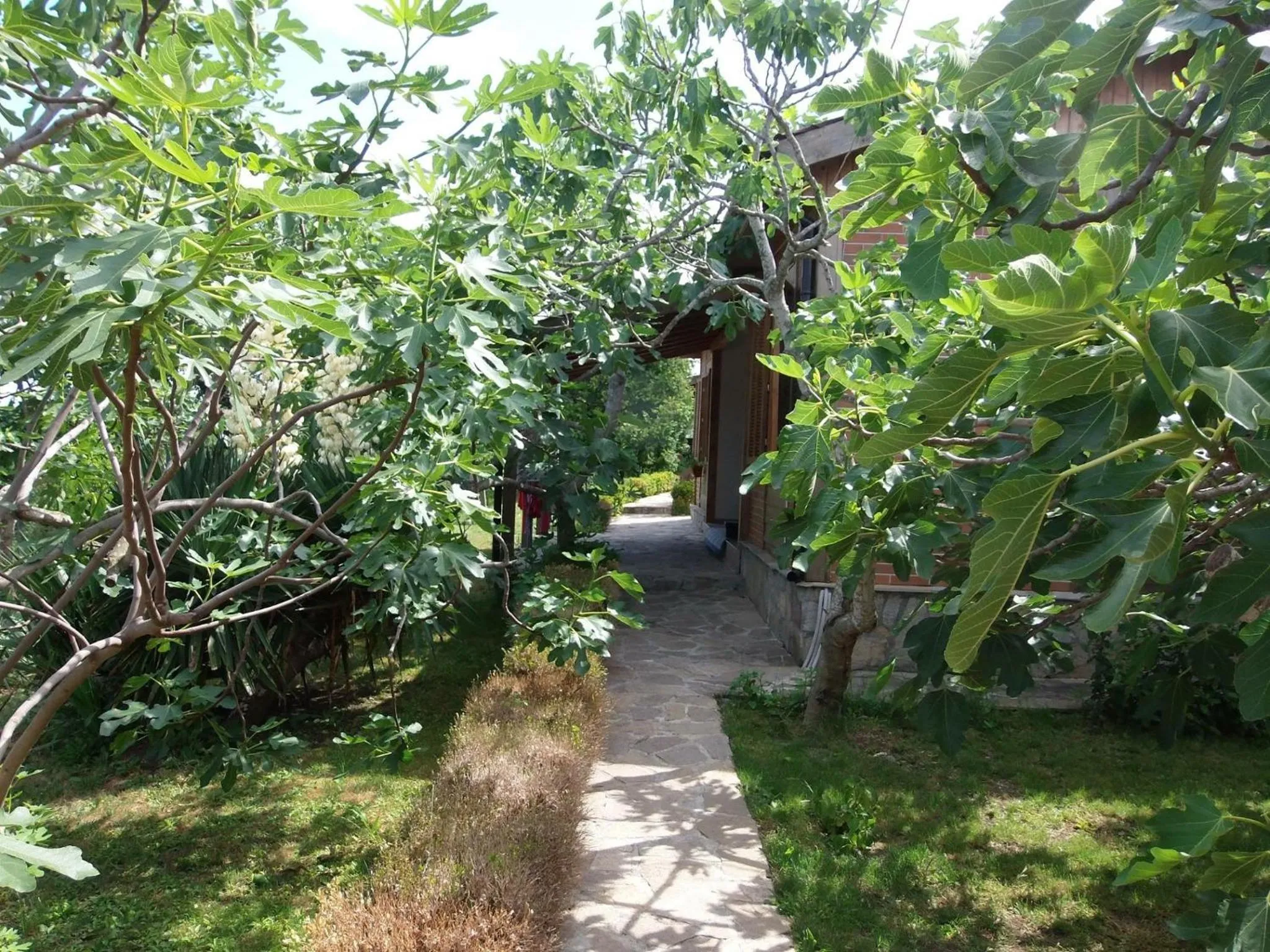 Villas and Bungalows Panorama