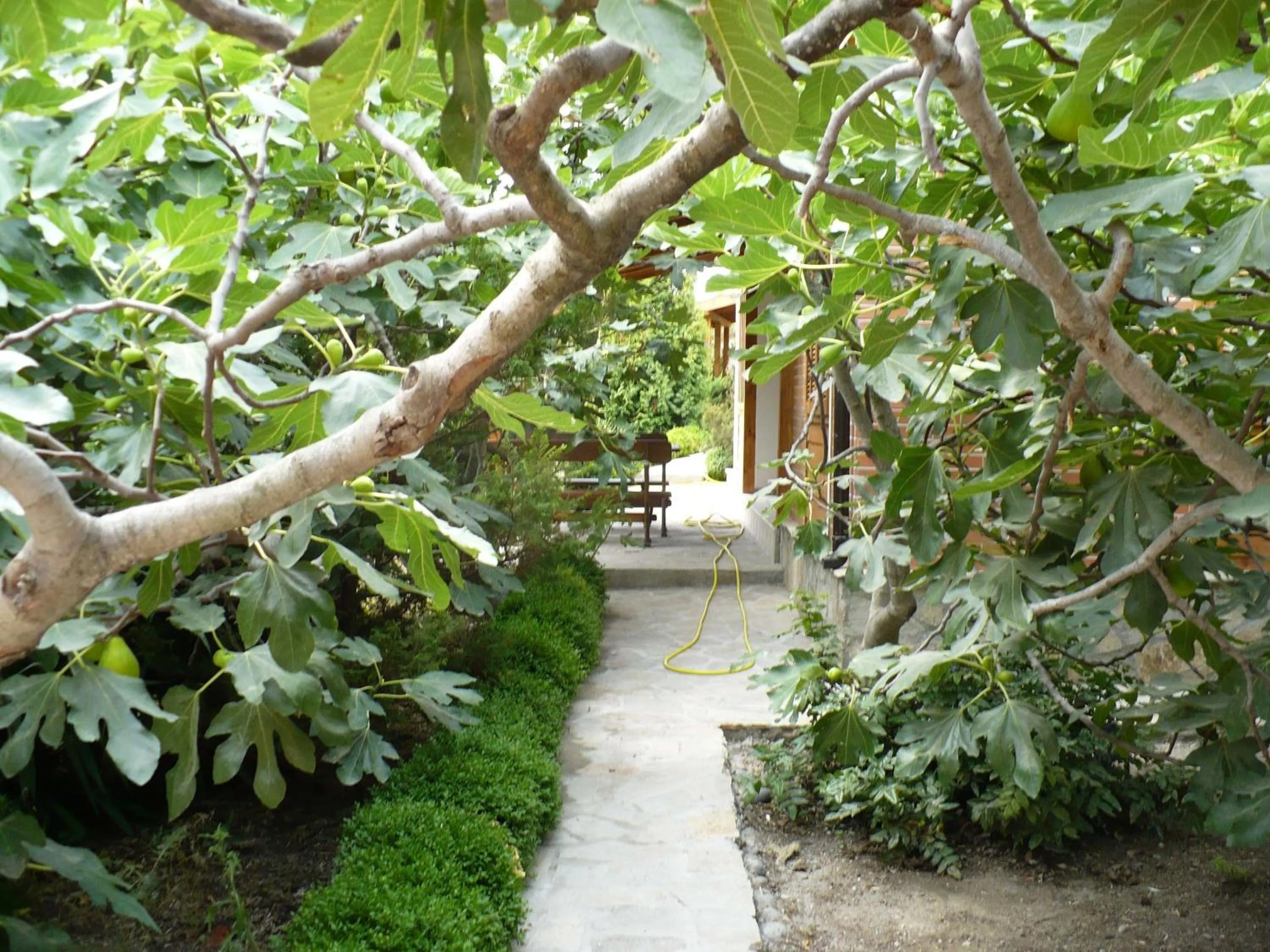 Villas and Bungalows Panorama