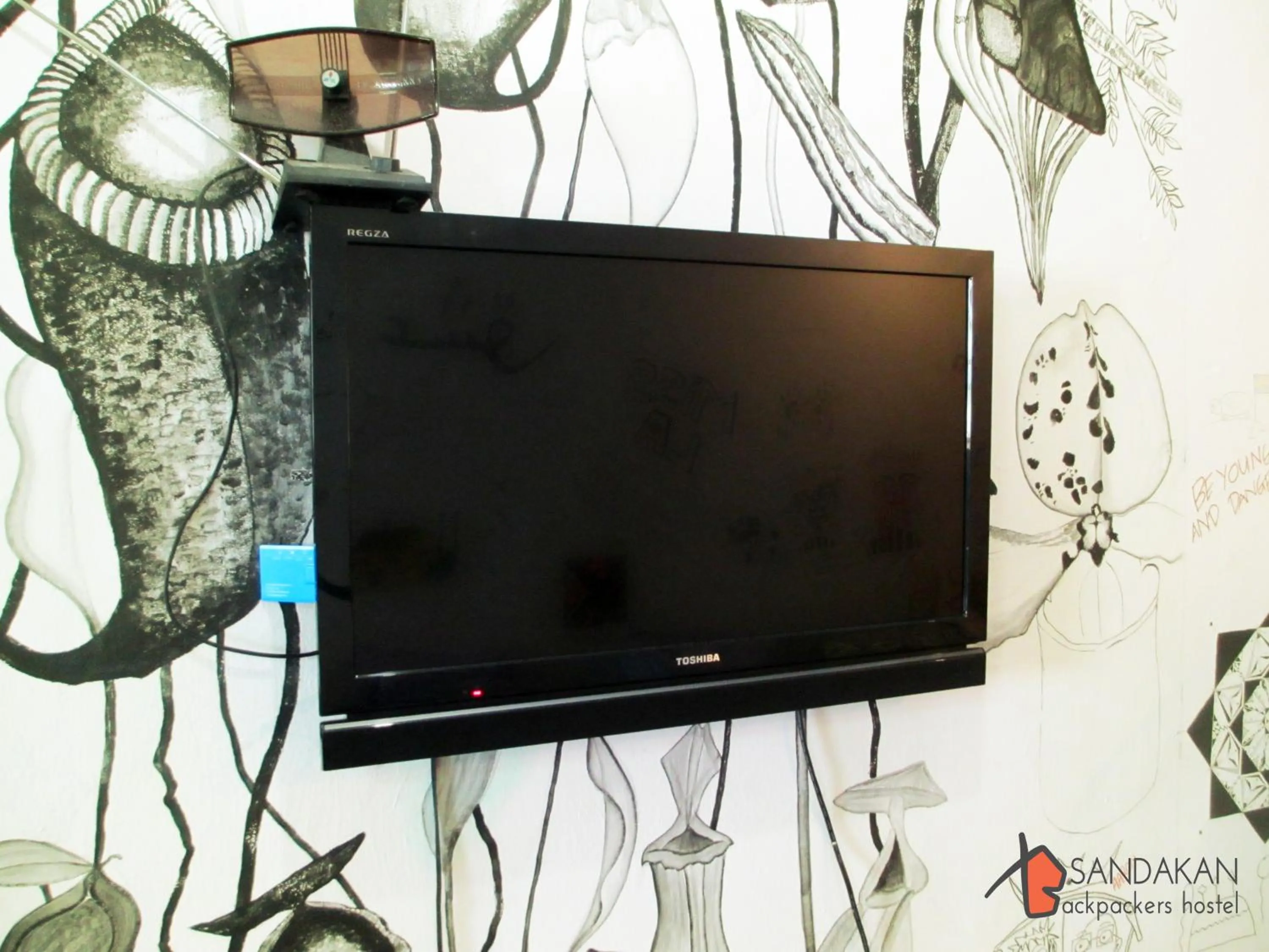 Communal lounge/ TV room in Sandakan Backpackers Hostel