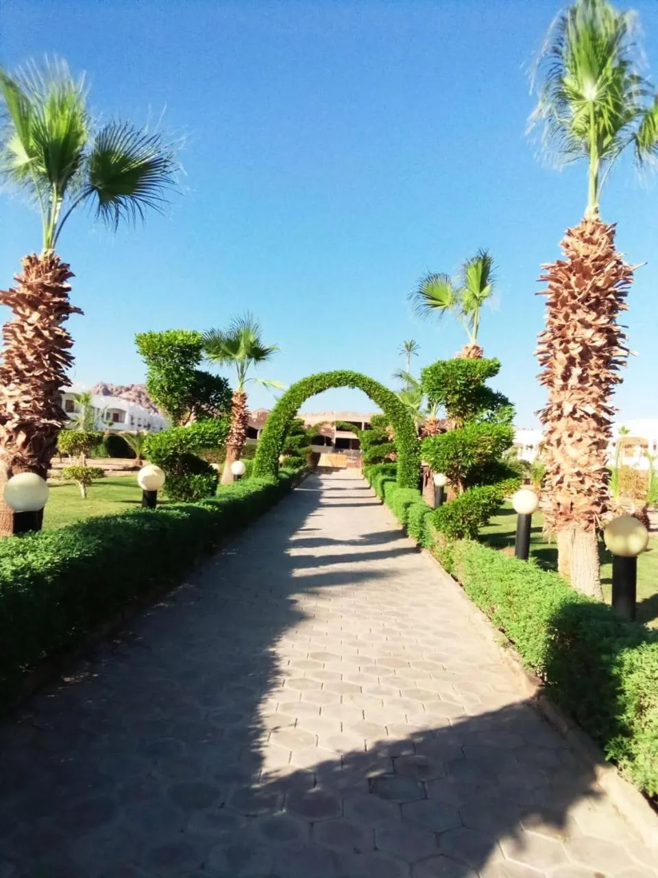 Garden view in Happy Life Village Dahab