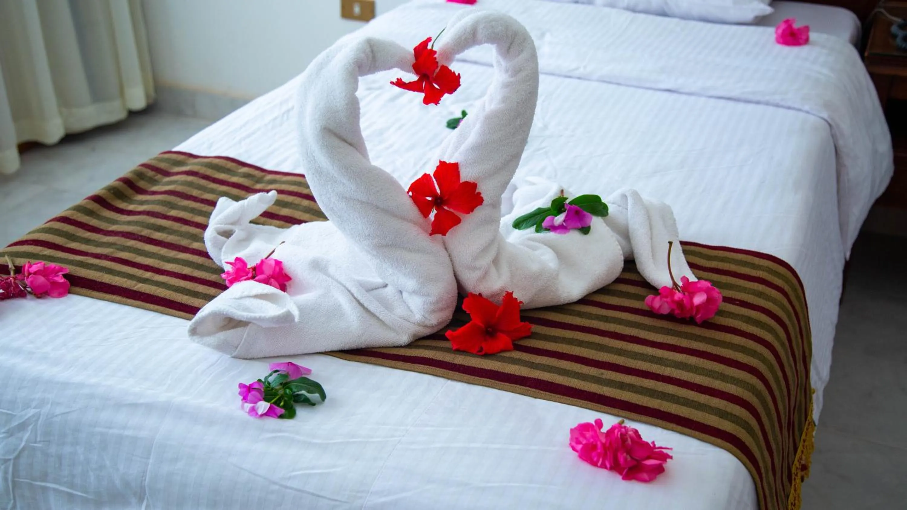 Bed in Happy Life Village Dahab