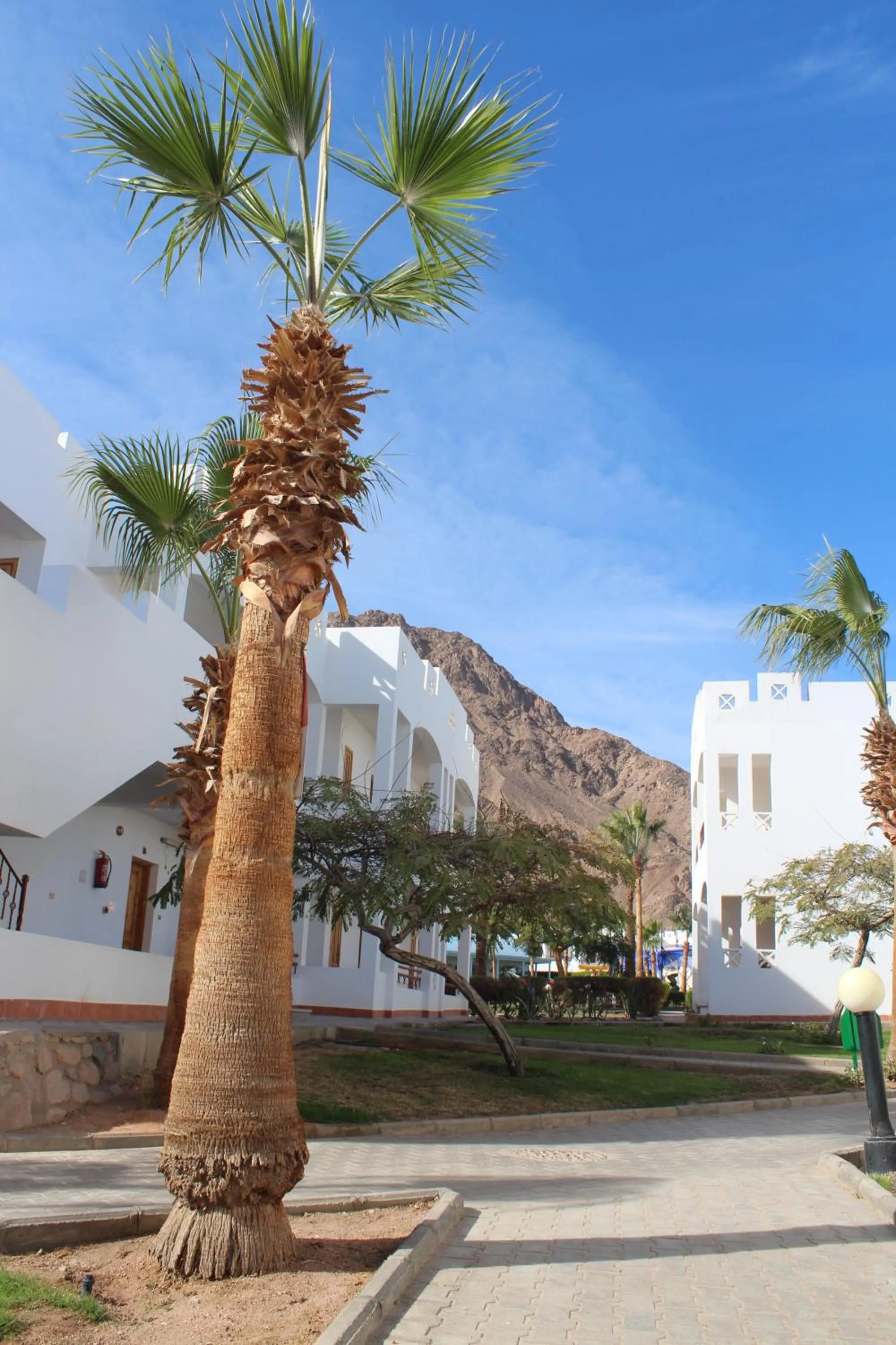 Property building in Happy Life Village Dahab