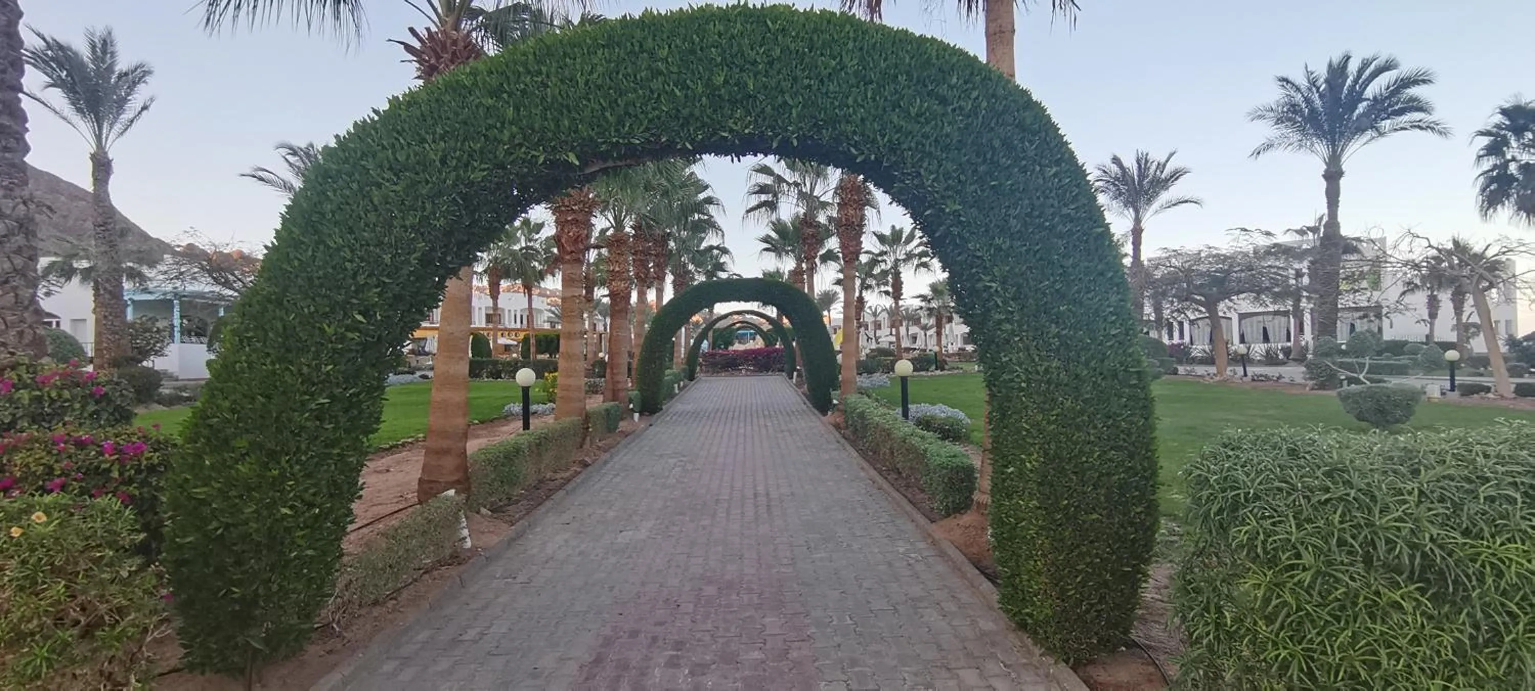 Garden in Happy Life Village Dahab