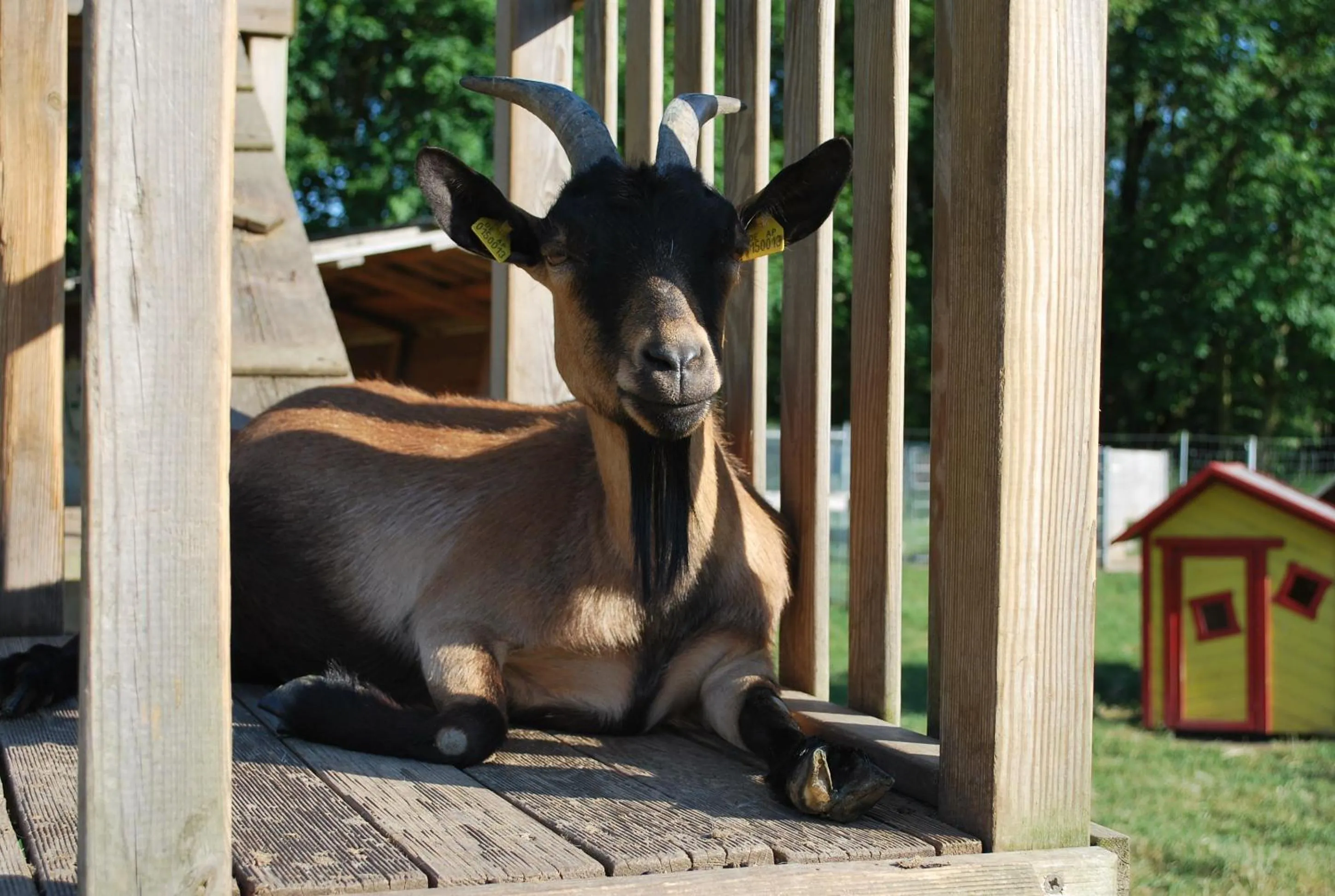 Animals in Ölmühle Eberstedt