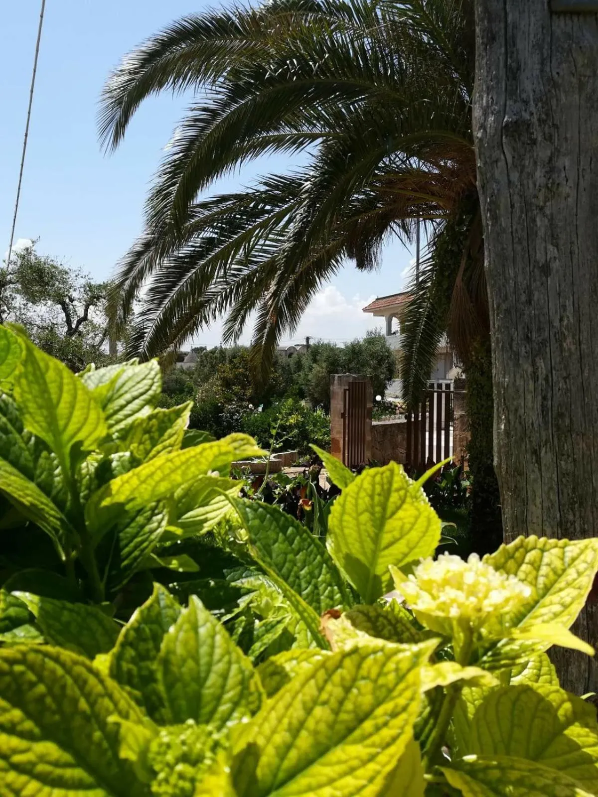 Property building in Residenza Aurora