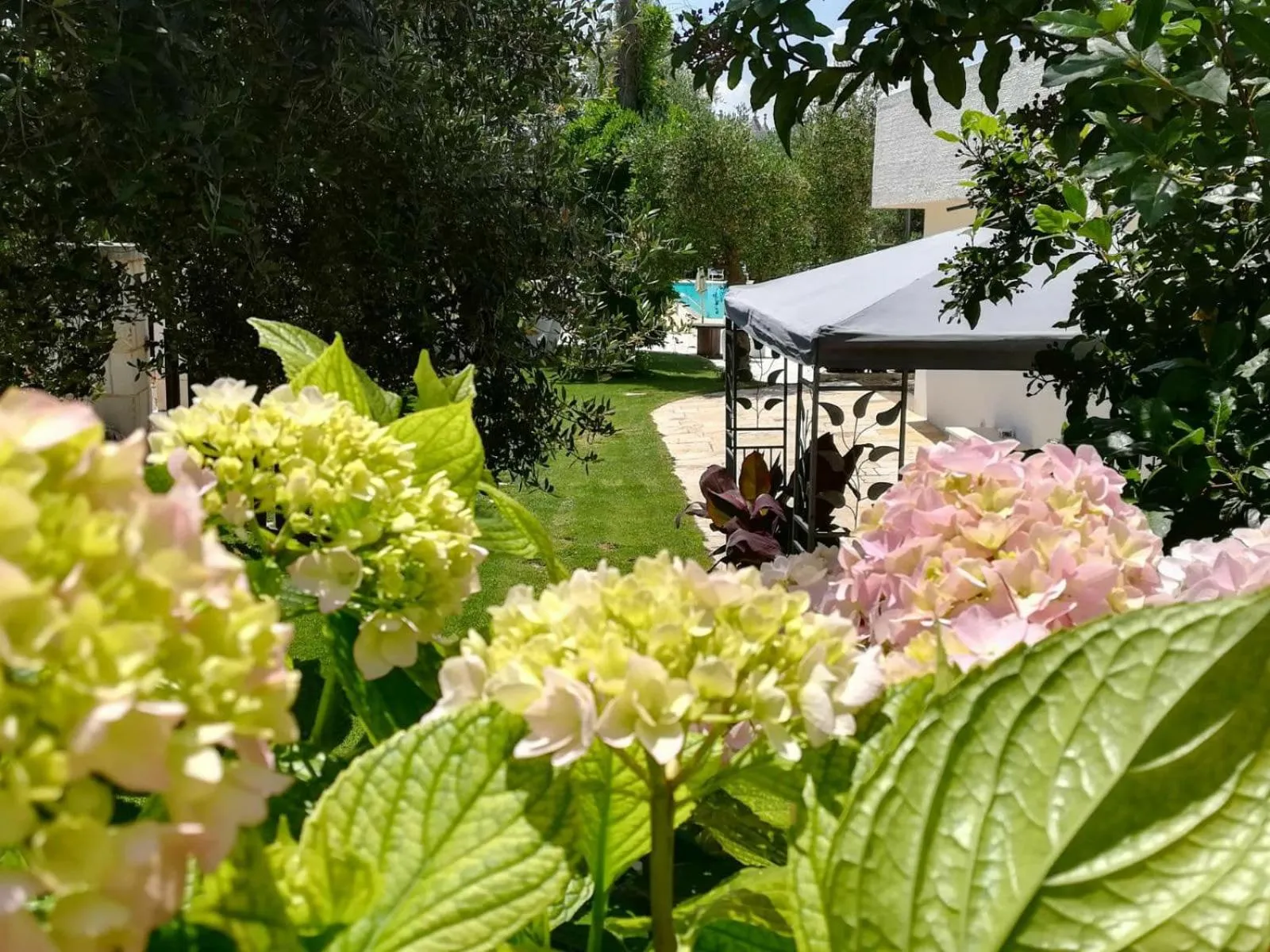 Property building in Residenza Aurora